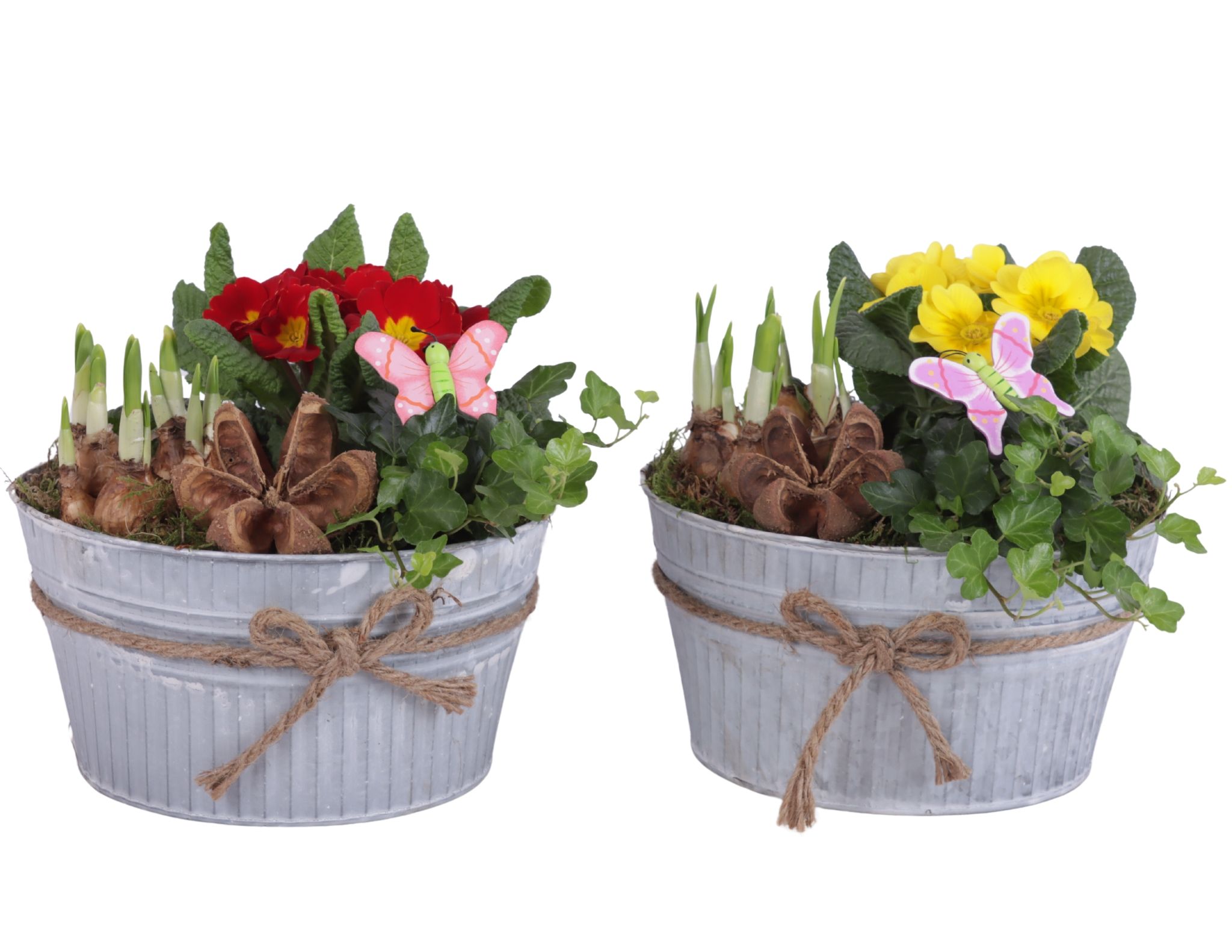 Early Spring Arr. Outdoor Zinc Pot Round White Rope Ø22cm 3PP, D 22