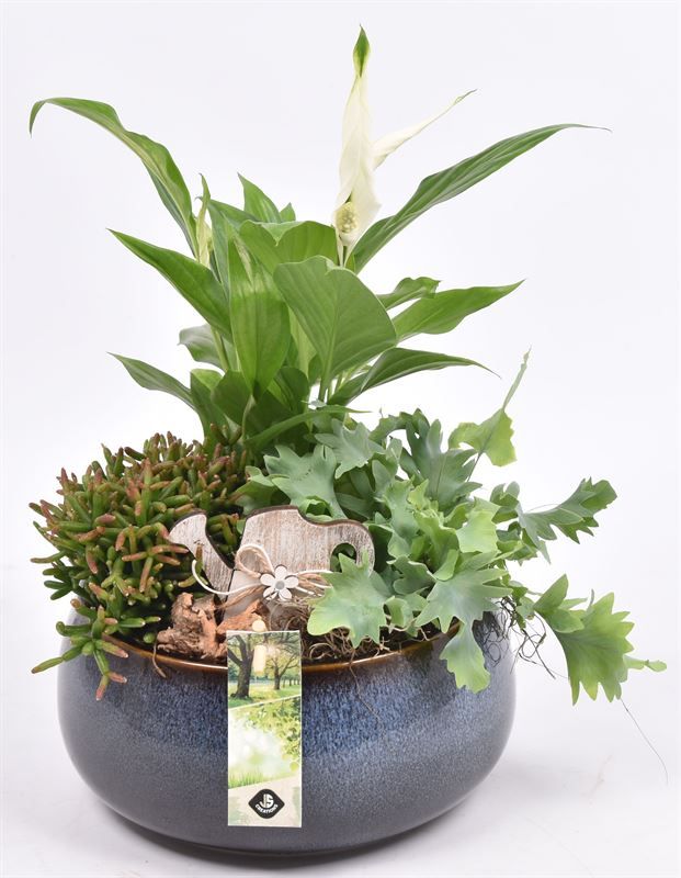 Keramiek schaal blauw 19.5cm, D 19