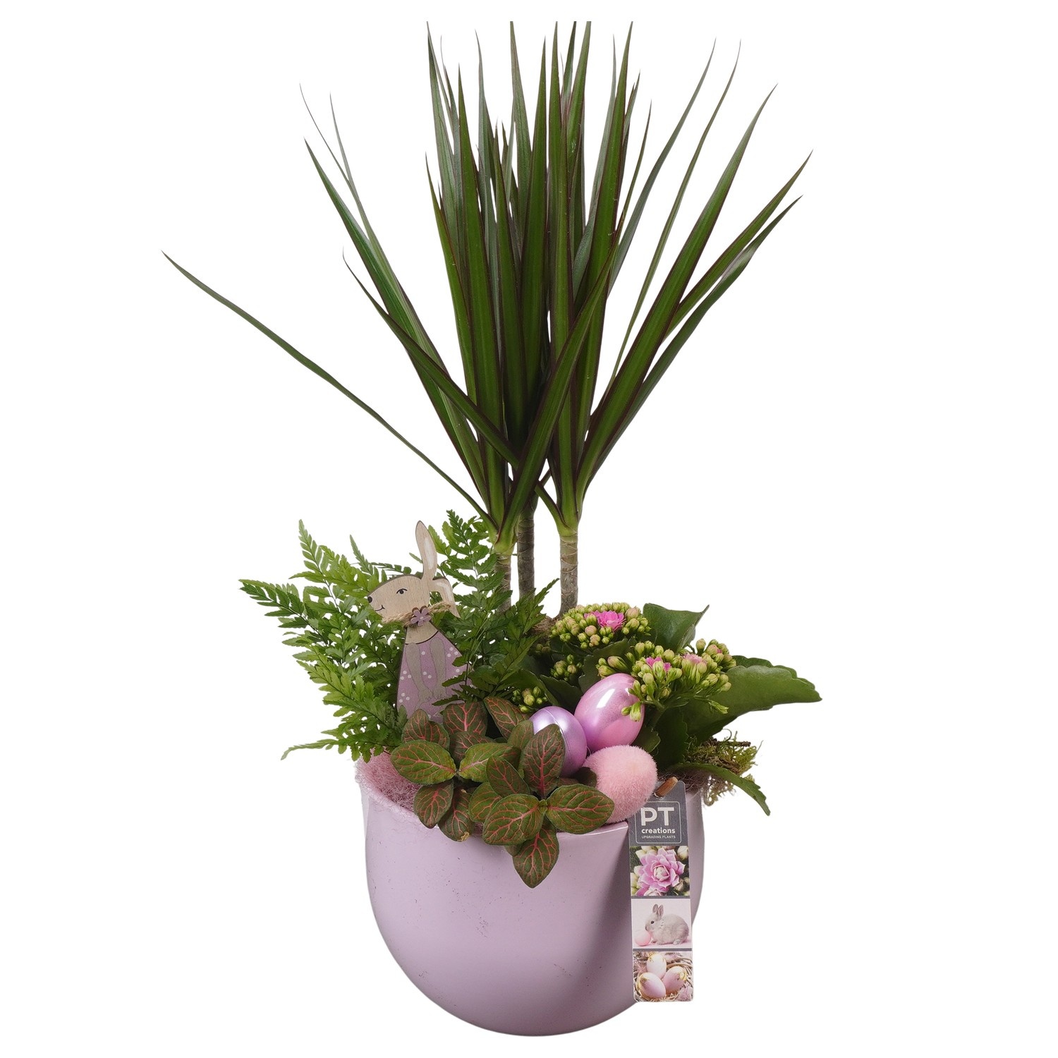 PTPB6523 Arrangement Easter in keramiek pot, D 19