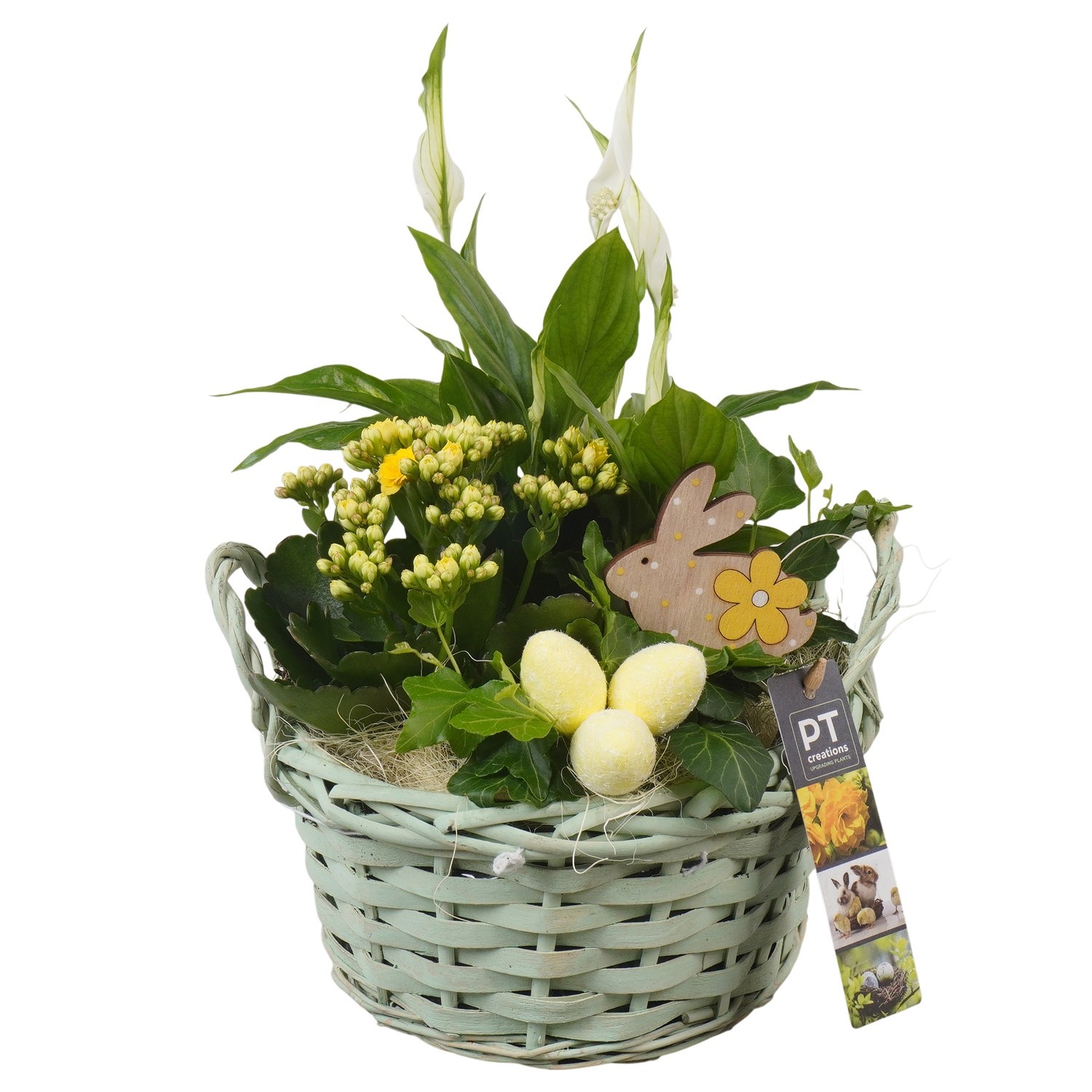 PTPB6558 Arrangement Easter in rieten mand, D 20