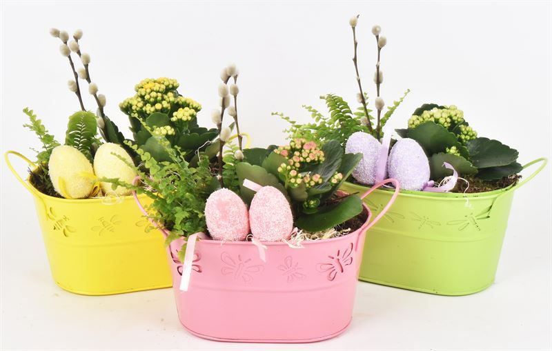 Zink ovaal vlinder 22x13, D 22