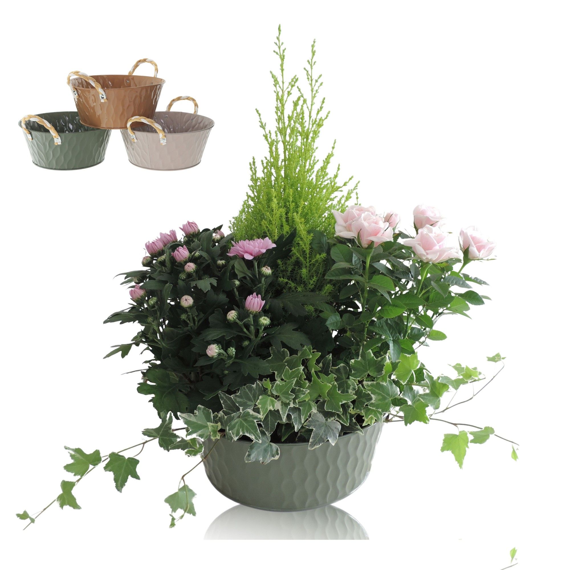 Collectie Amun Arrangement in Schaal 25 cm, D 25