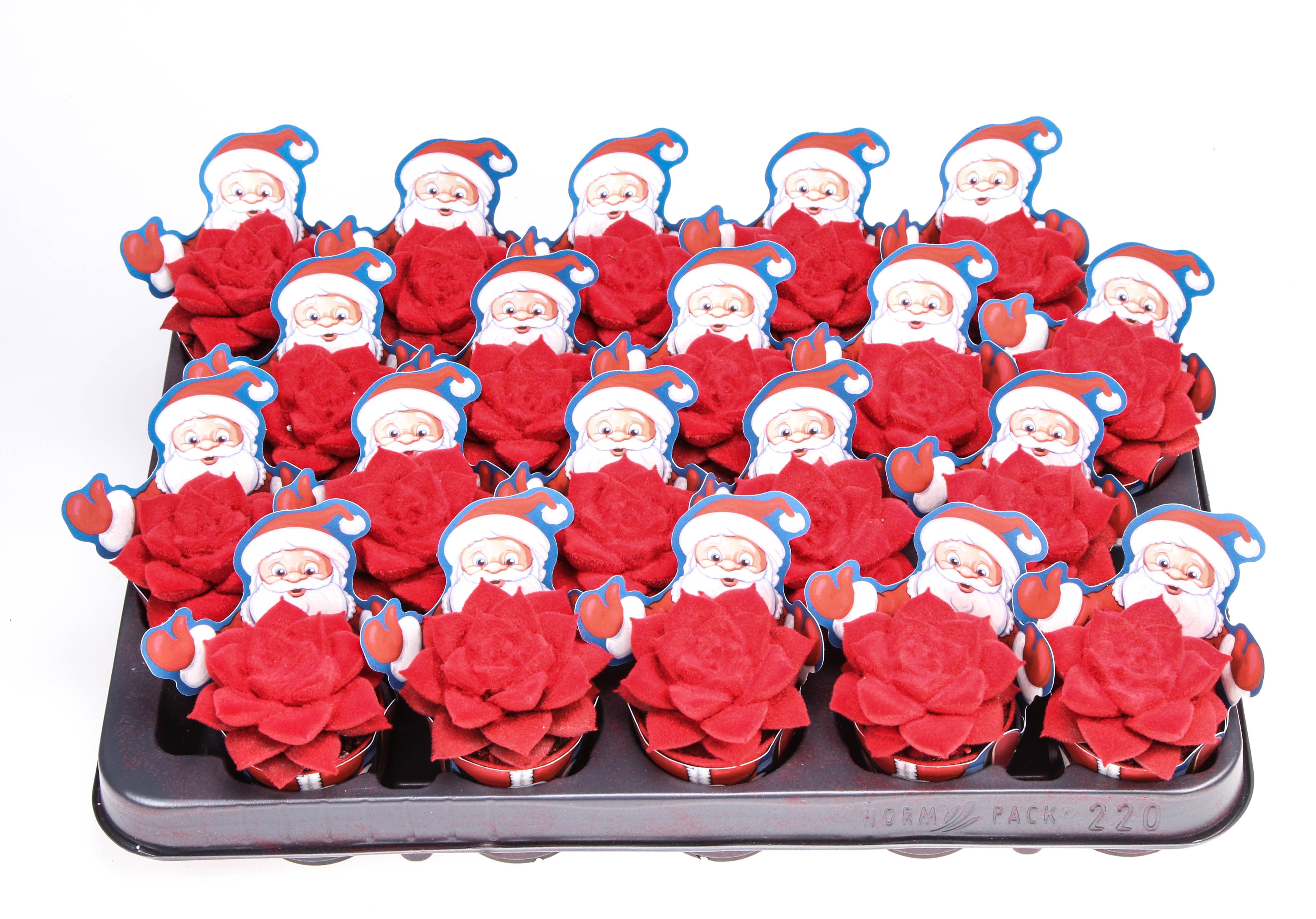 Potcover santaclaus purper velvet red, D 5,5