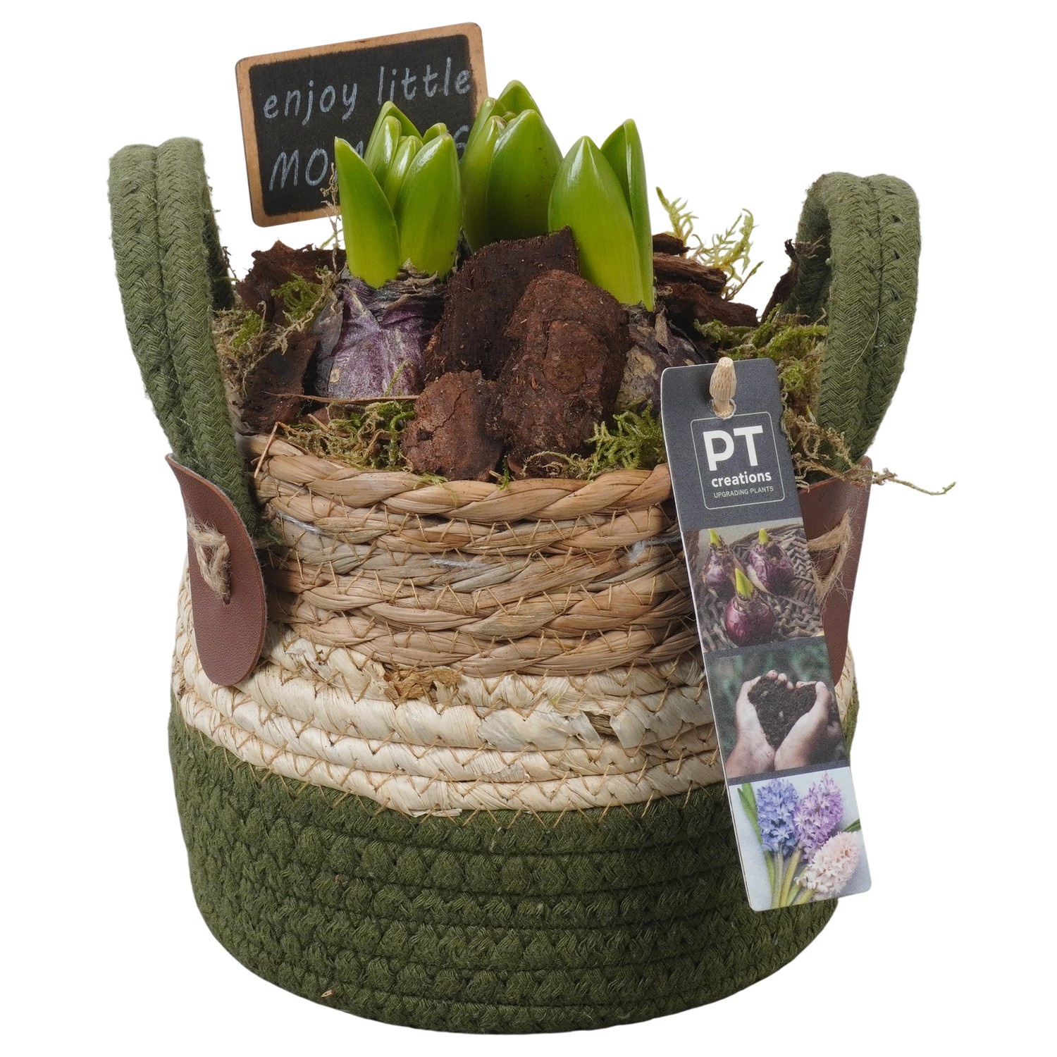 PTHC9160 Arrangement Hyacints in riet mand, D 13