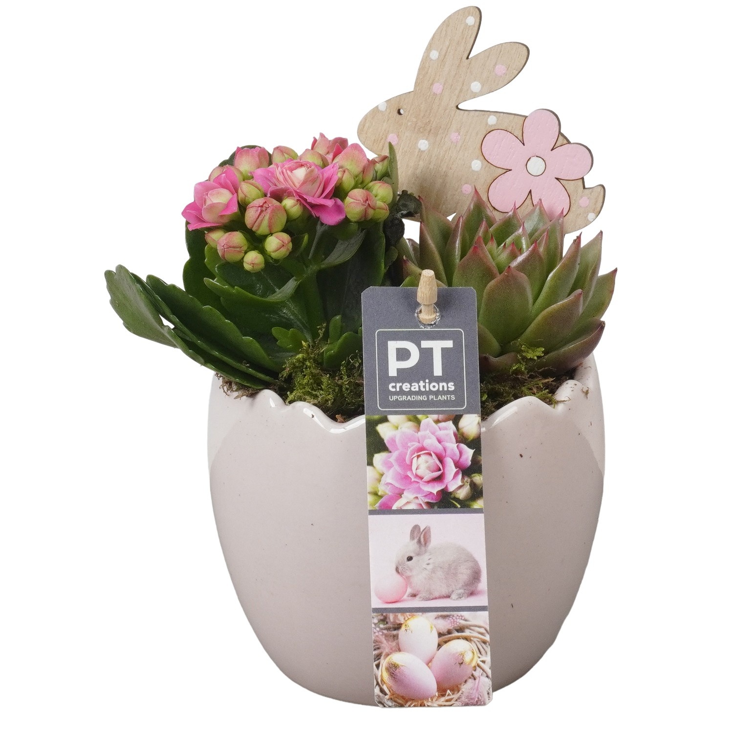 PTPB6491 Arrangement Easter in keramiek ei, D 11