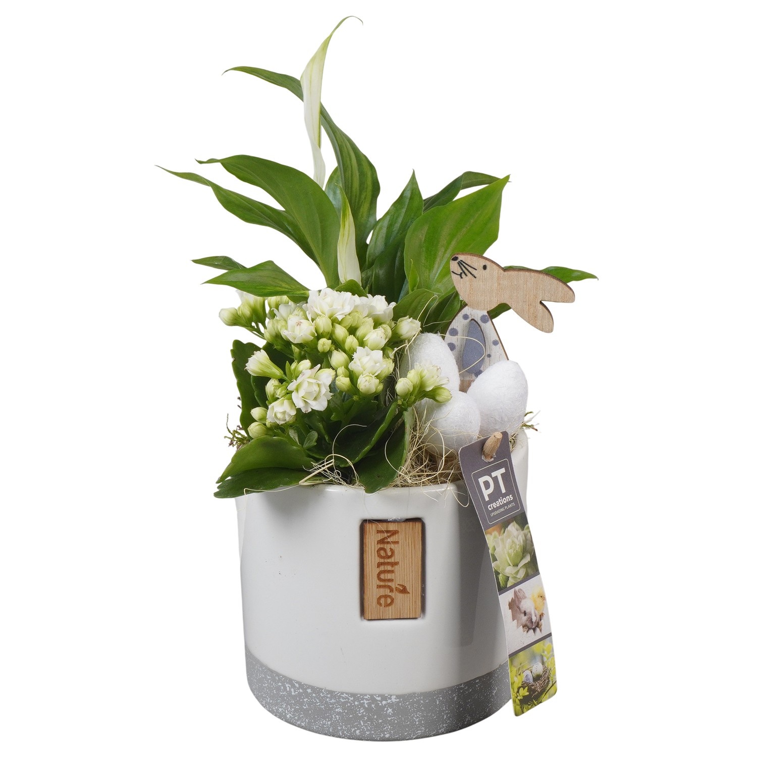 PTPB6477 Arrangement Easter in keramiek pot, D 11