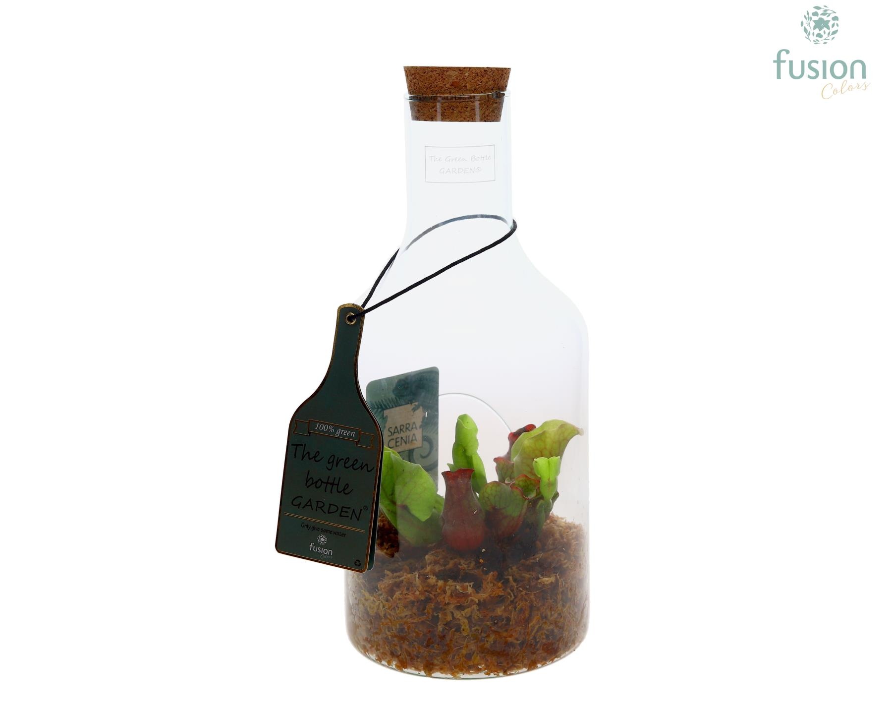 Green Bottle Fles Small met Vleeseters, D 15