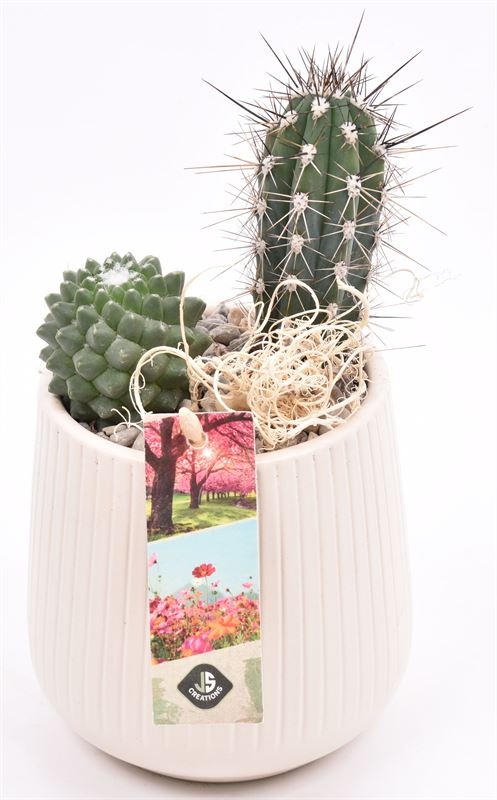 Keramiek vert.lines creme mat 12cm, D 12