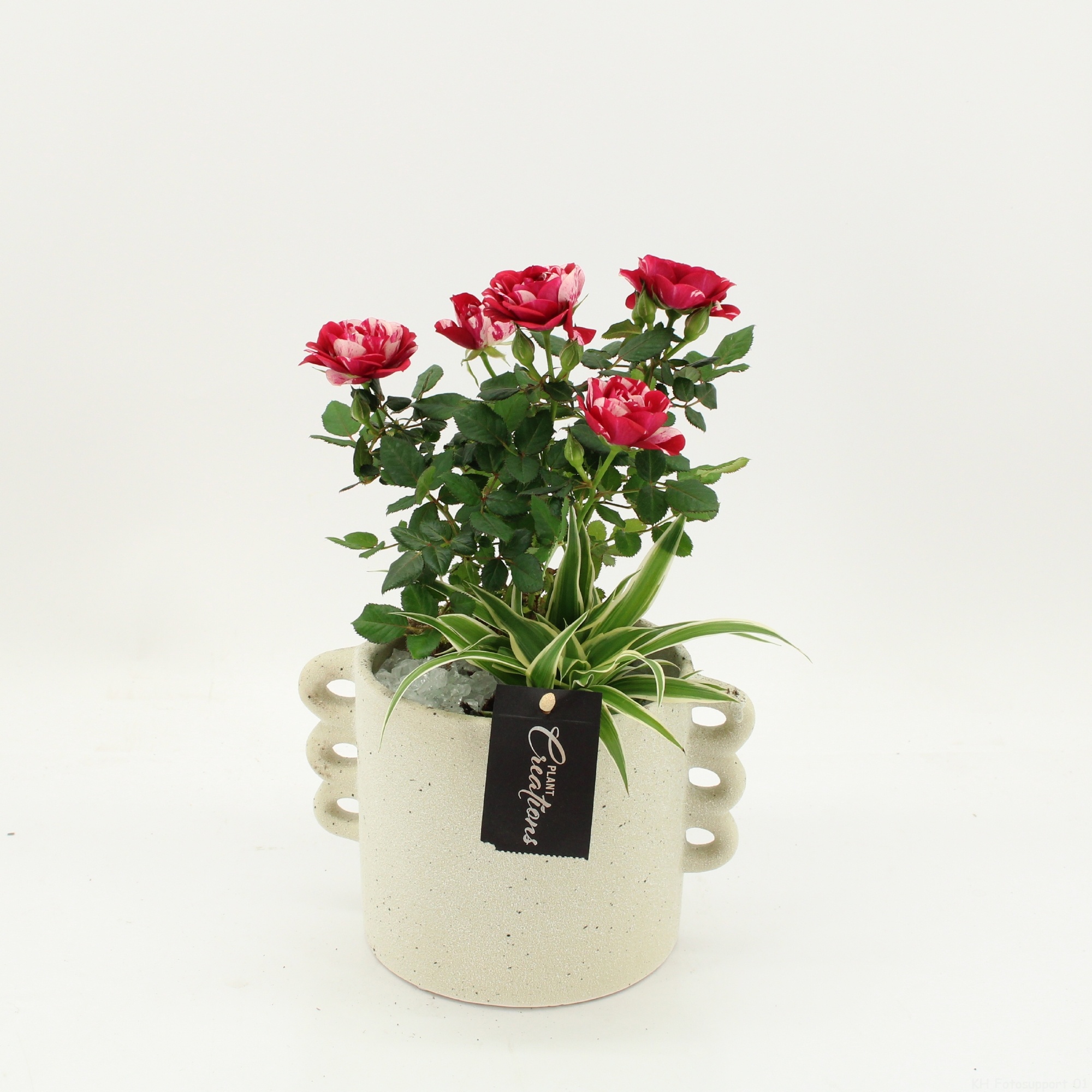 PROMO-2608 Frozen Valantine, D 18