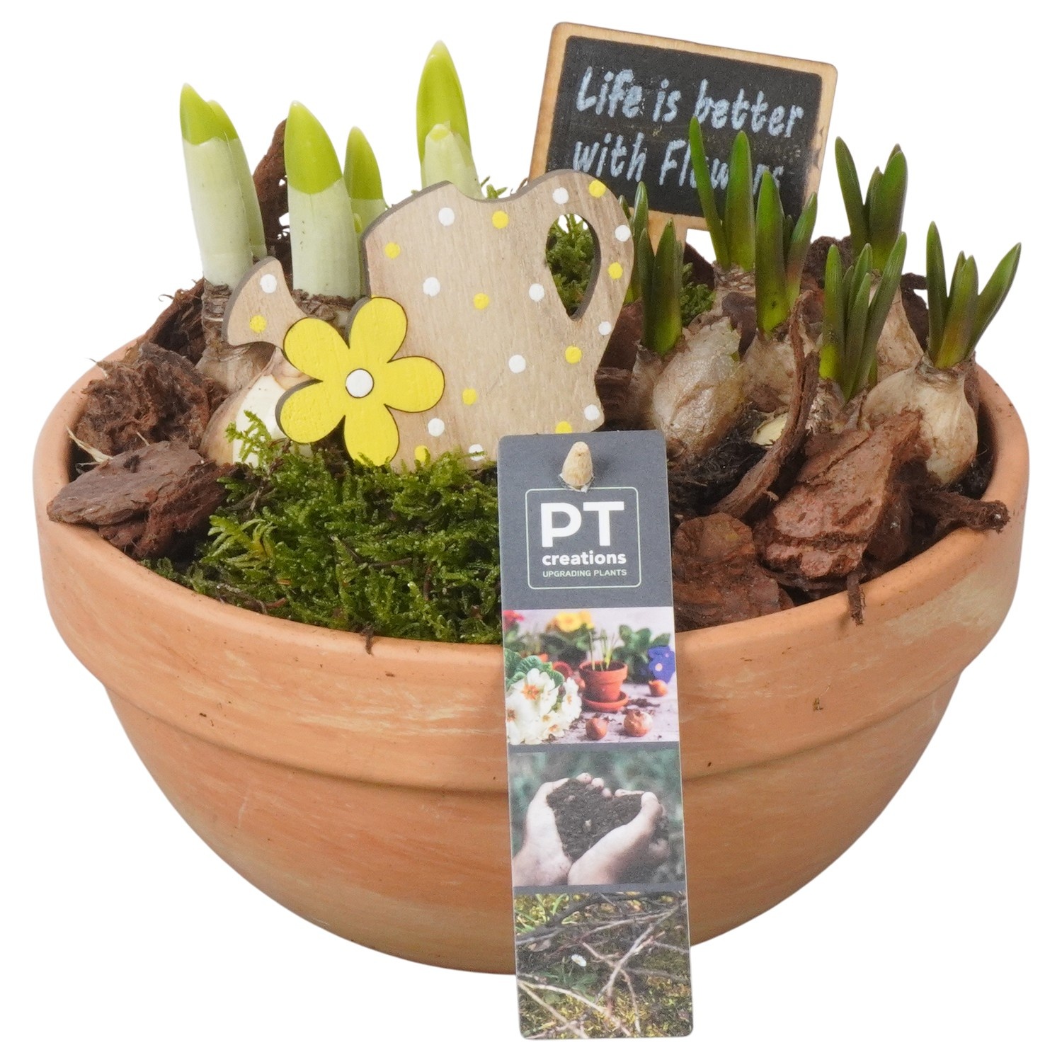 PTBM3880 Arrangement Flower Bulbs Mix in terracotta schaal, D 19