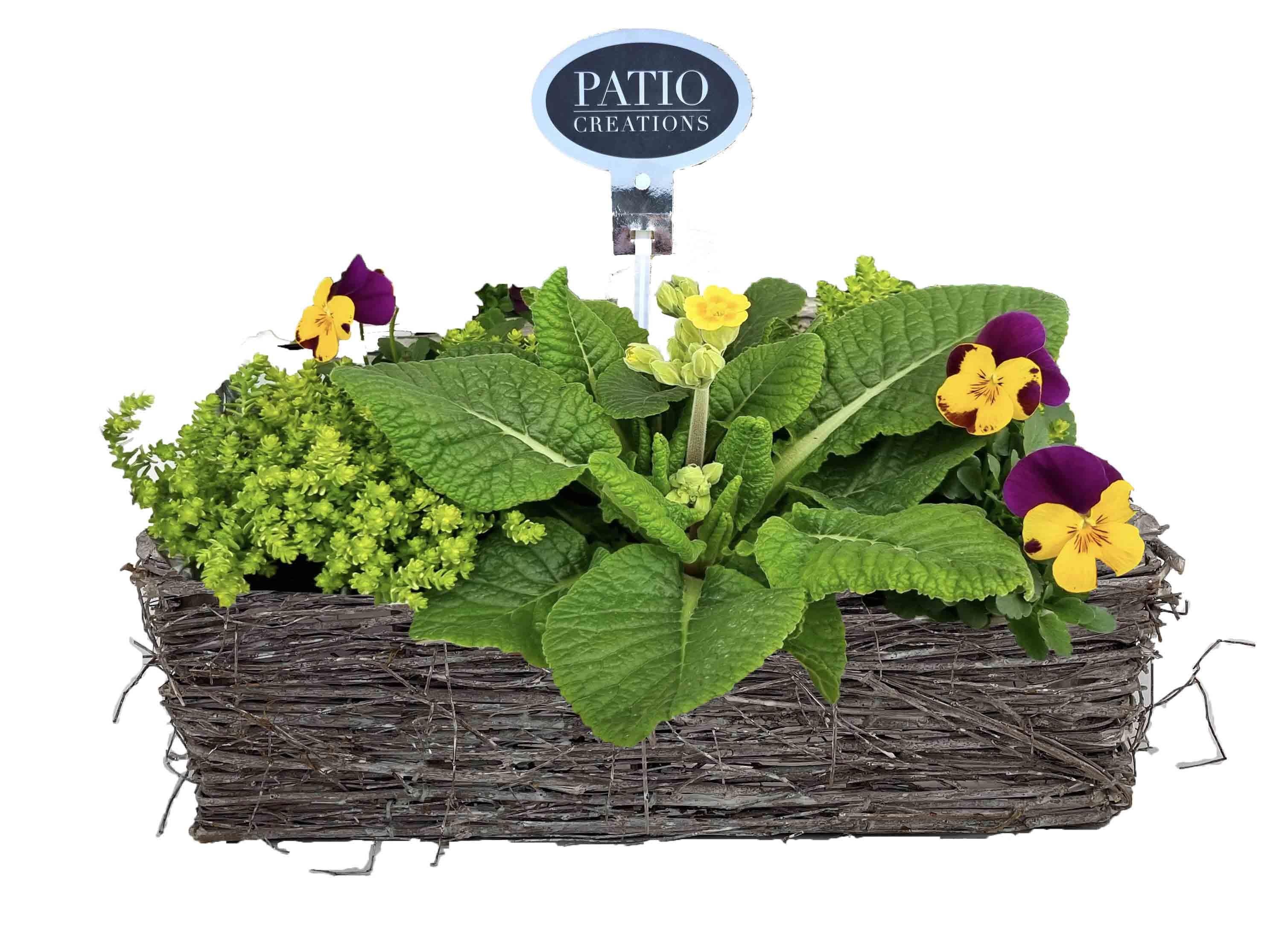 VM844-9003 Voorjaarsmix Matz M, D 29