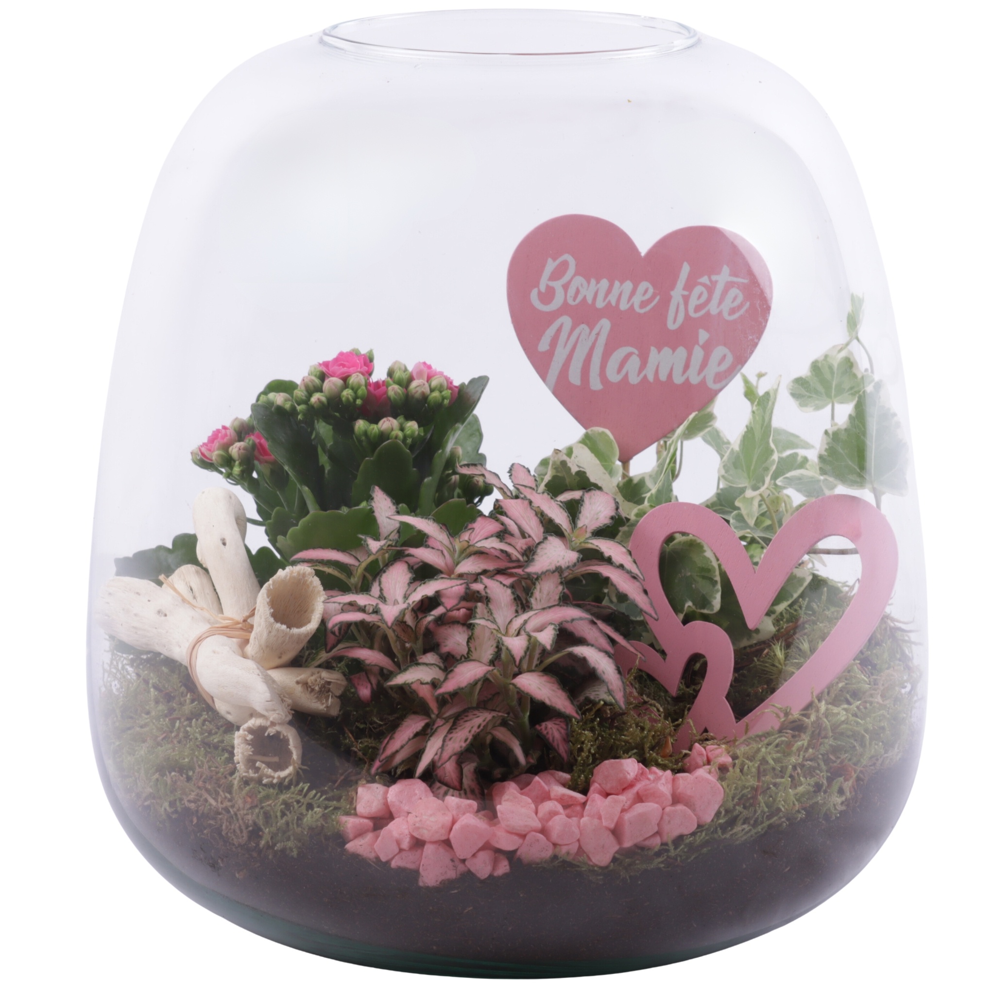 Grandmothers Day Arr. Indoor Glass Vase Terrarium Round Ø23cm 3P, D 23