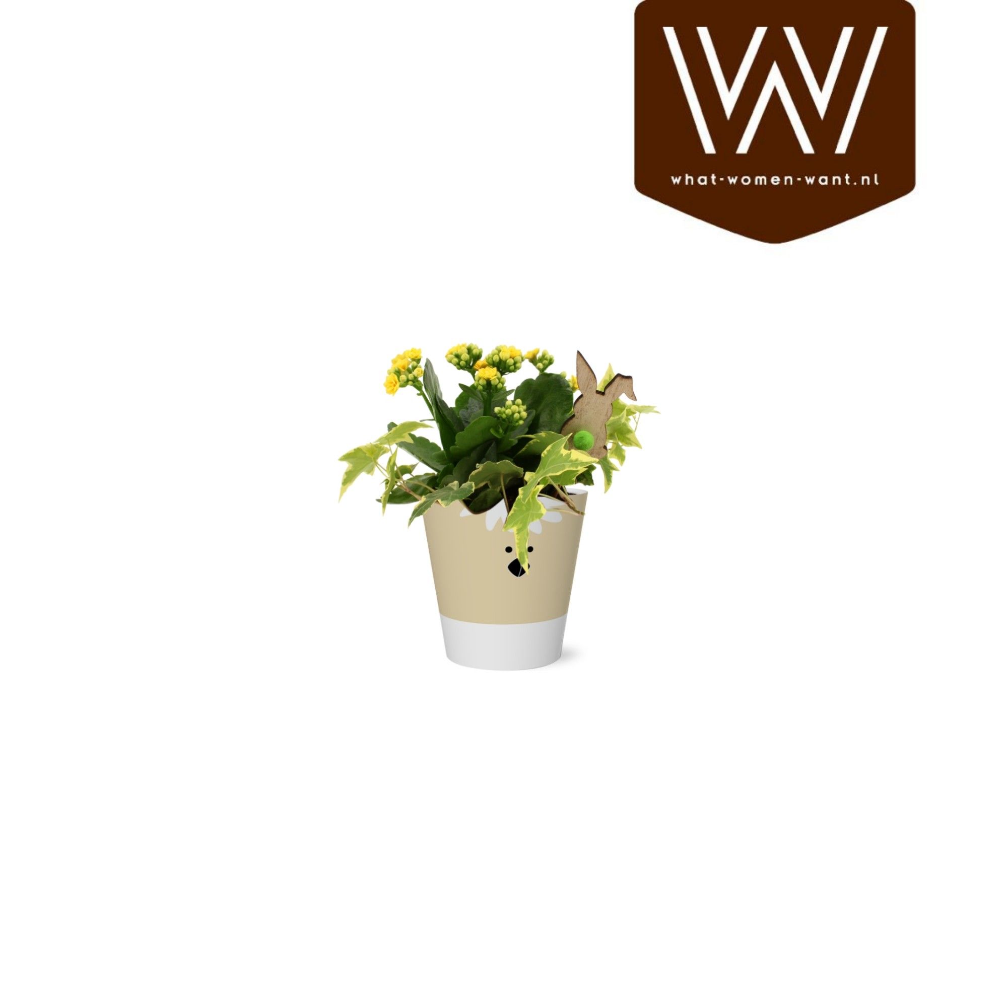 Paas Arrangement Smartcup Tommie kalanchoe hedera, D 12