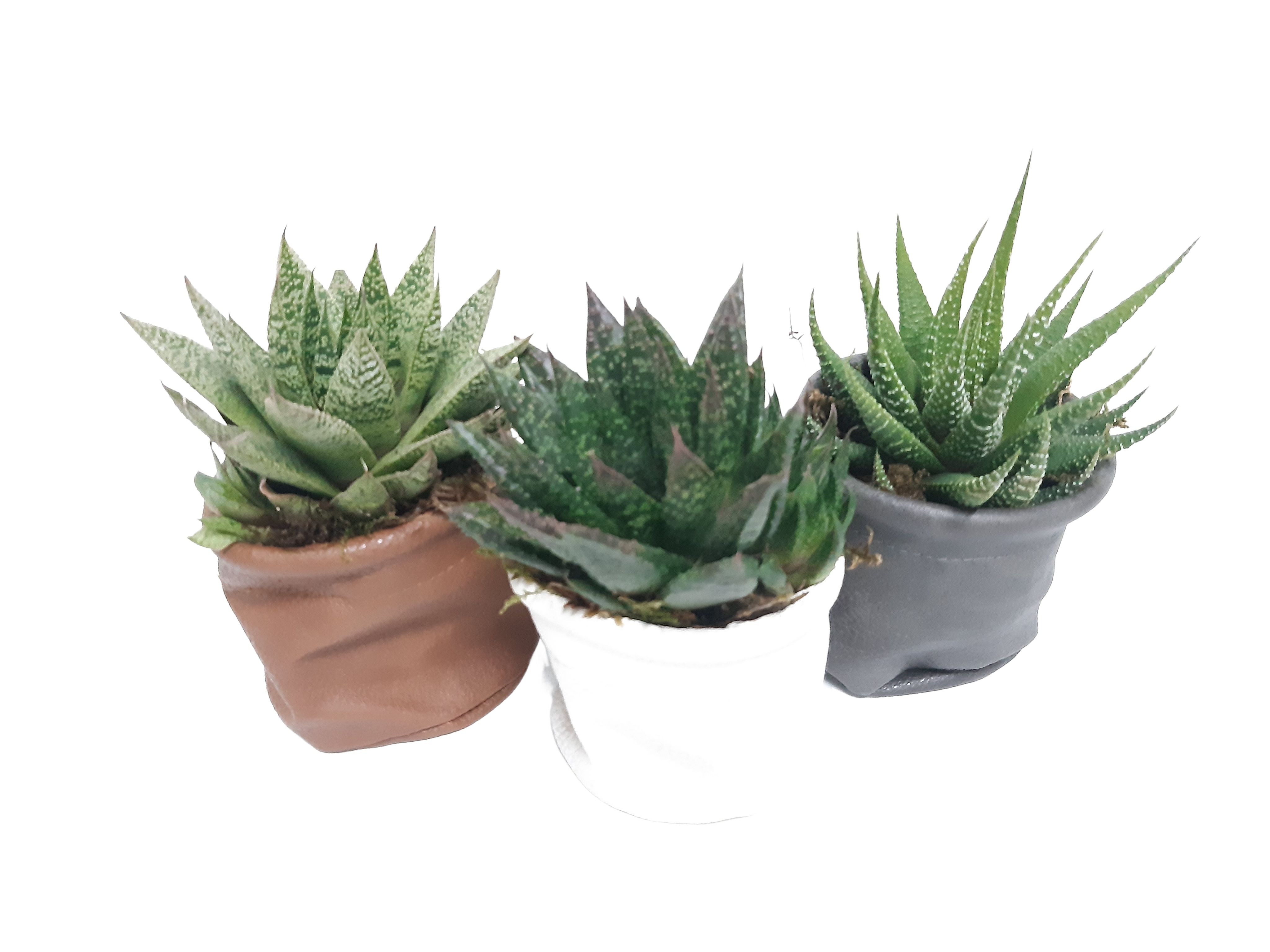 LB8THY MiniLeather Bag Succulentmix, D 8