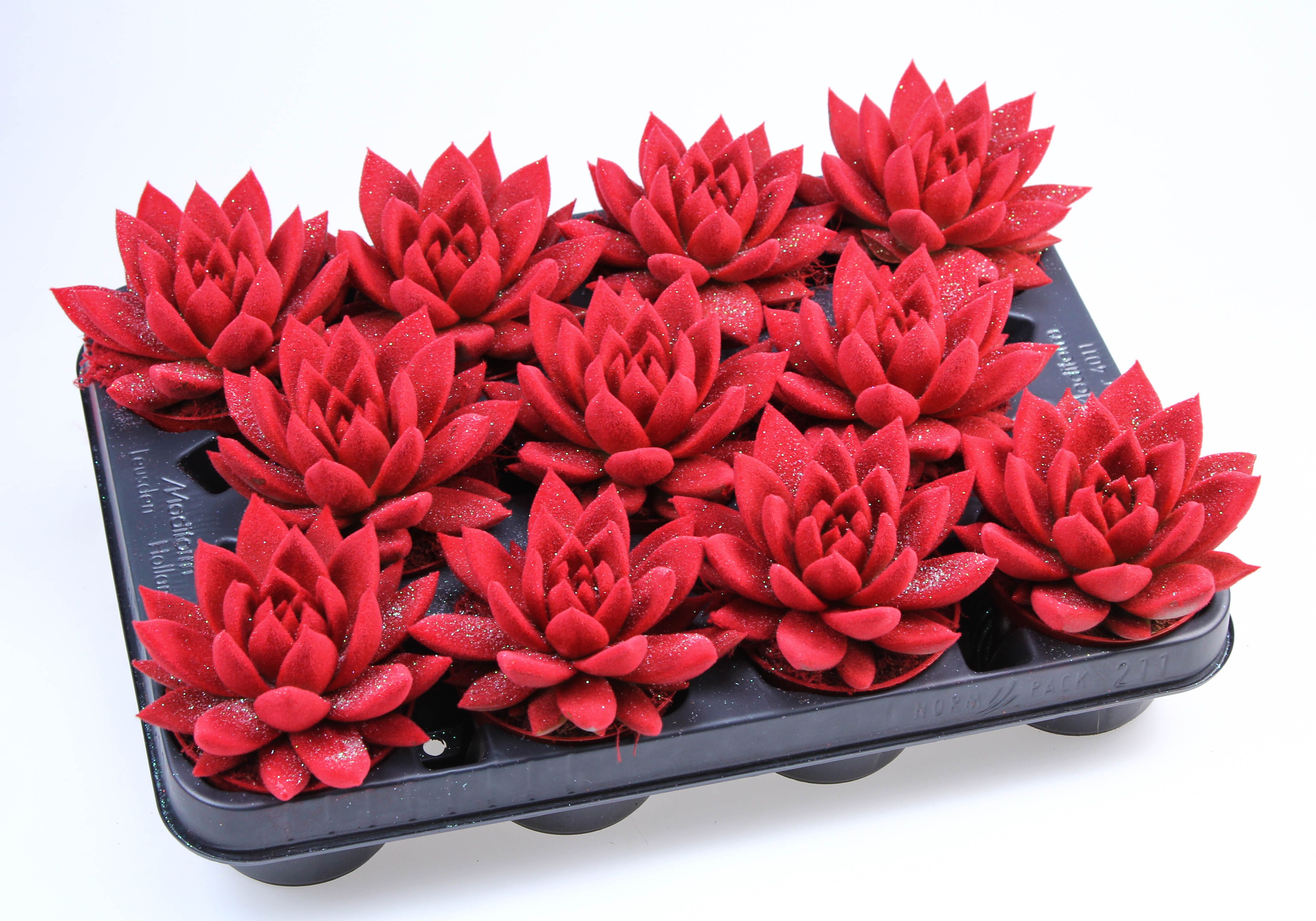 Velvet rood + glitter, D 8,5