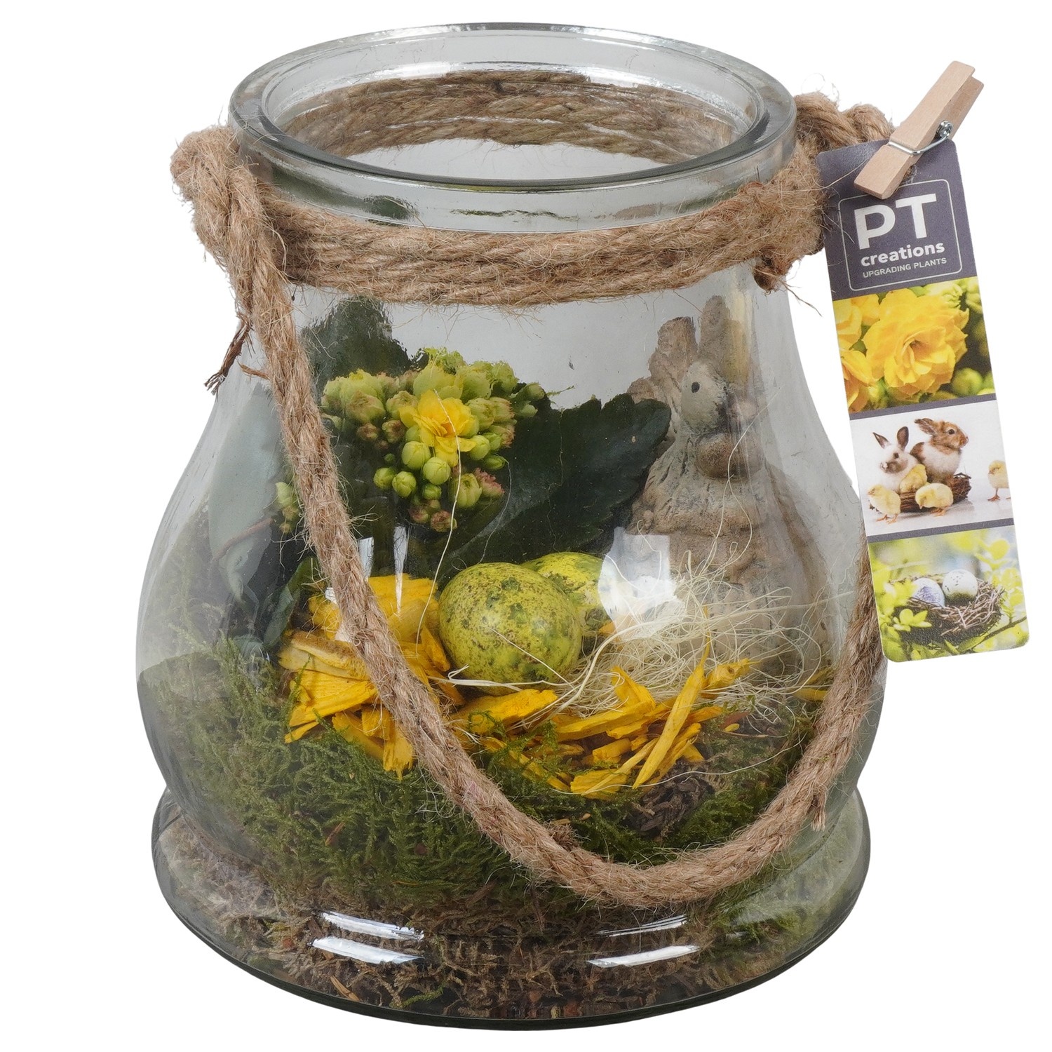 PTPG9315 Arrangement Easter in glas vaas, D 16