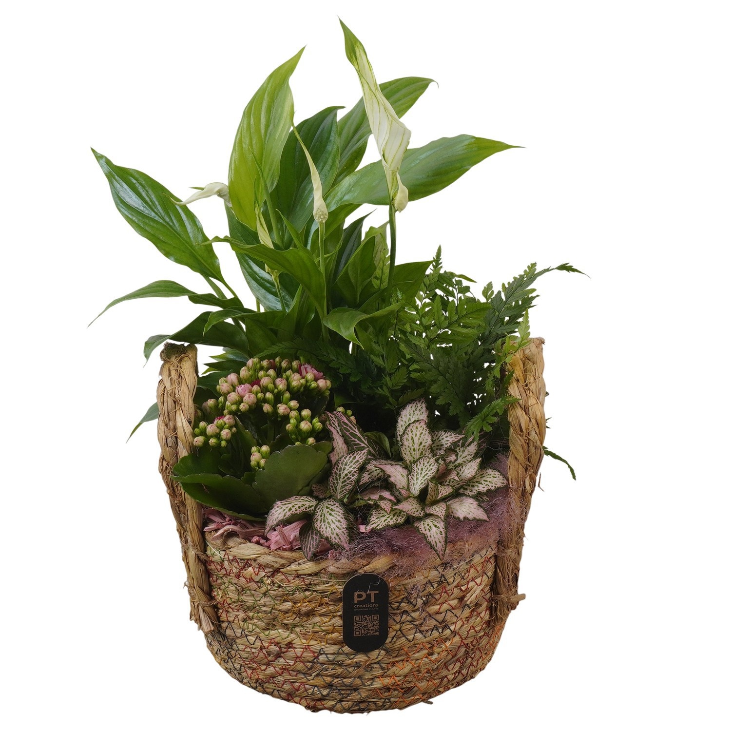 PTIB5220 Arrangement Indoor in rieten mand, D 18