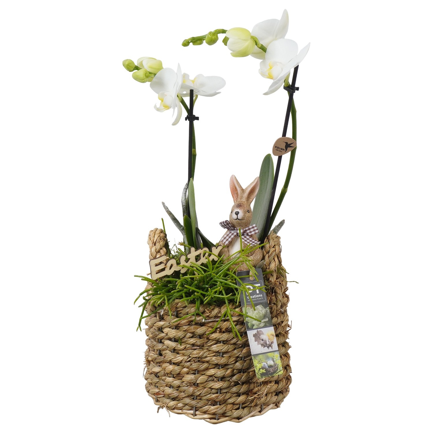 PTPB6565 Arrangement Easter in rieten mand, D 15