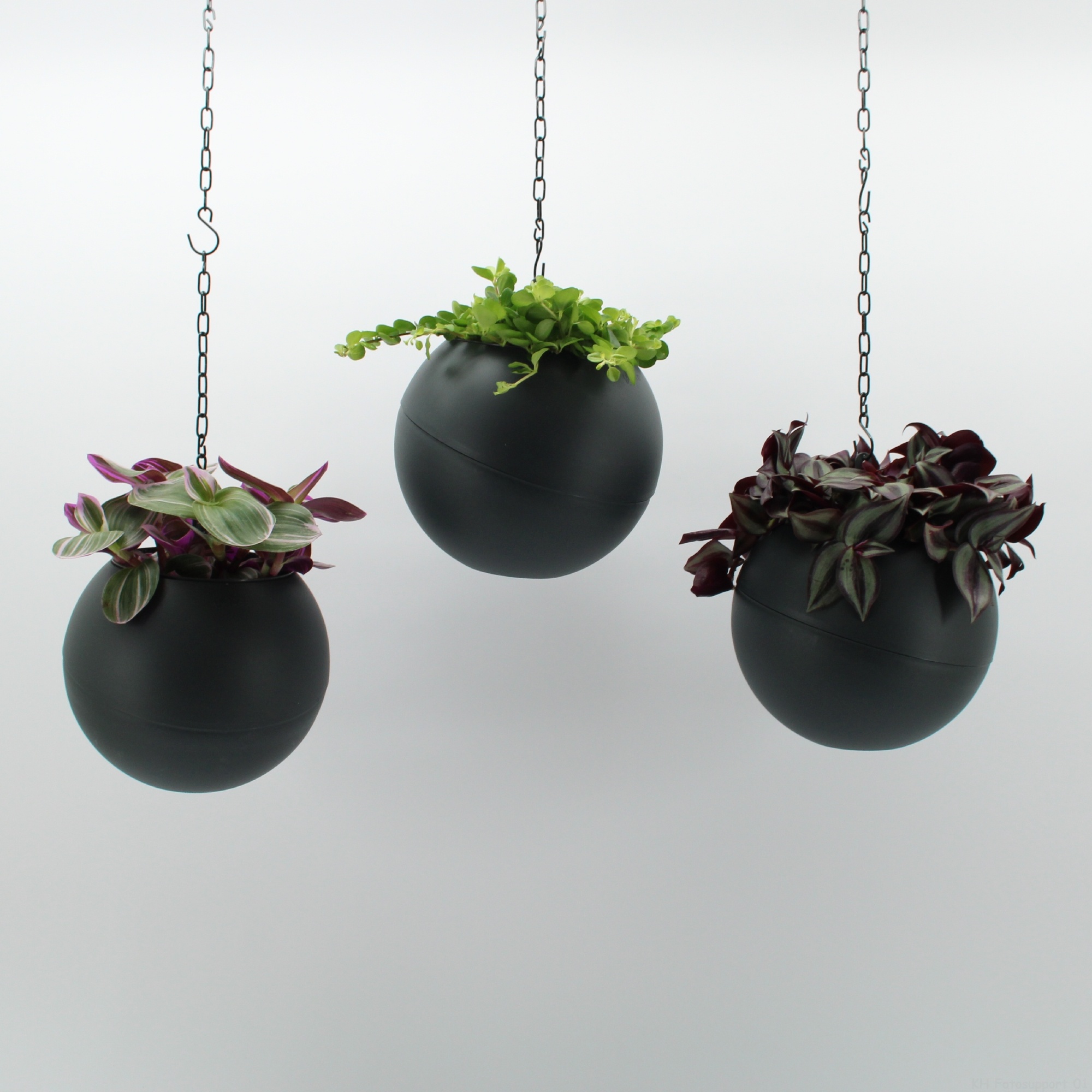 Globee Indoor Smit mix 2 135, D 20