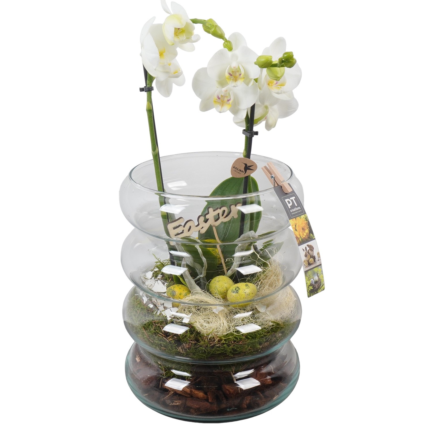 PTPG9407 Arrangement Easter in glas vaas, D 18