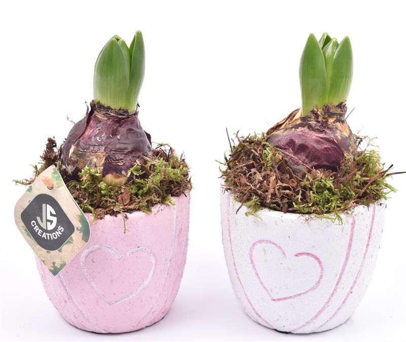 Cement pot met hart decor mix 10cm, D 10