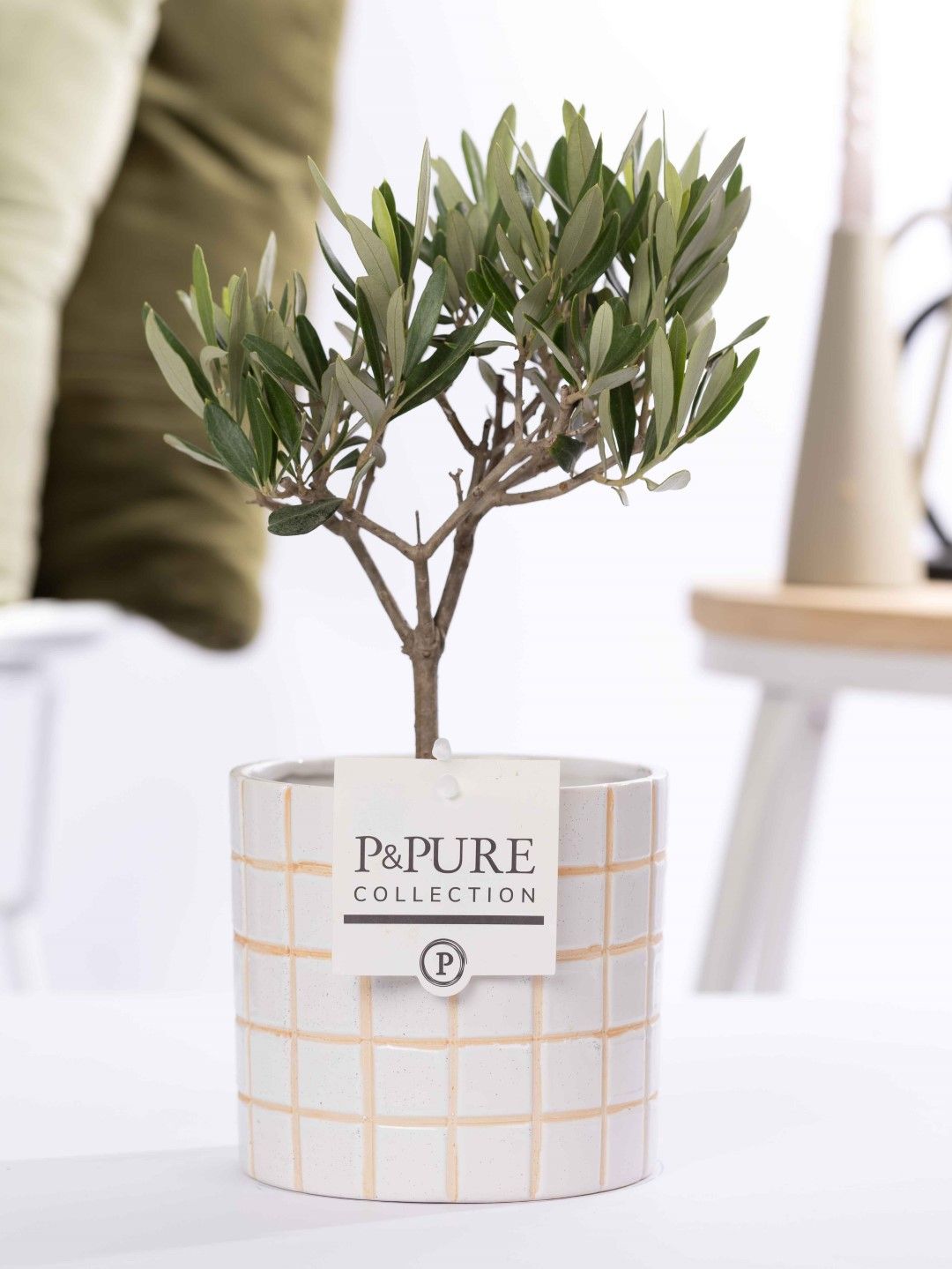 Olea Europaea in P&PURE Tirza ceramics, D 12