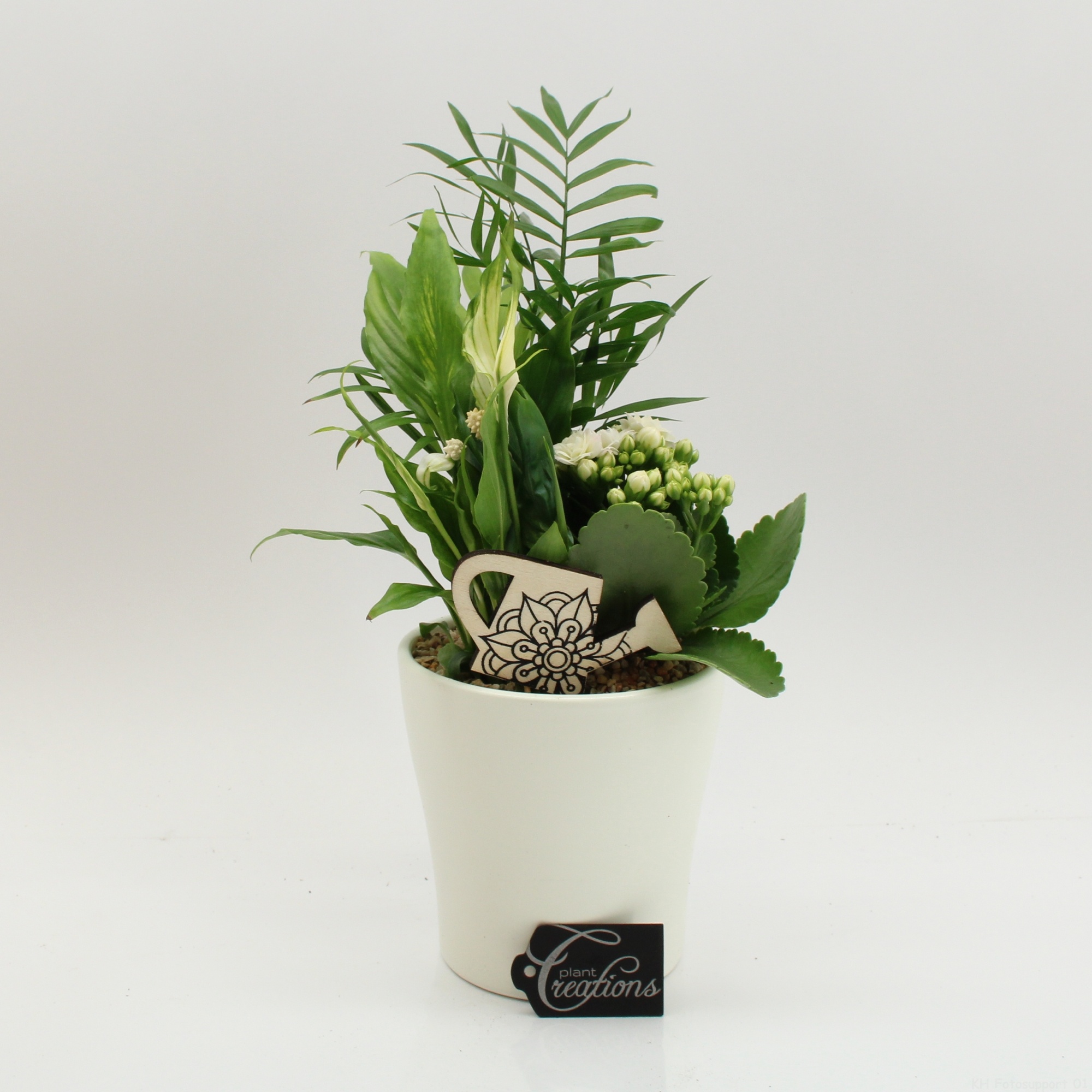 FDCR-2608W Basic Fundamentals, D 14