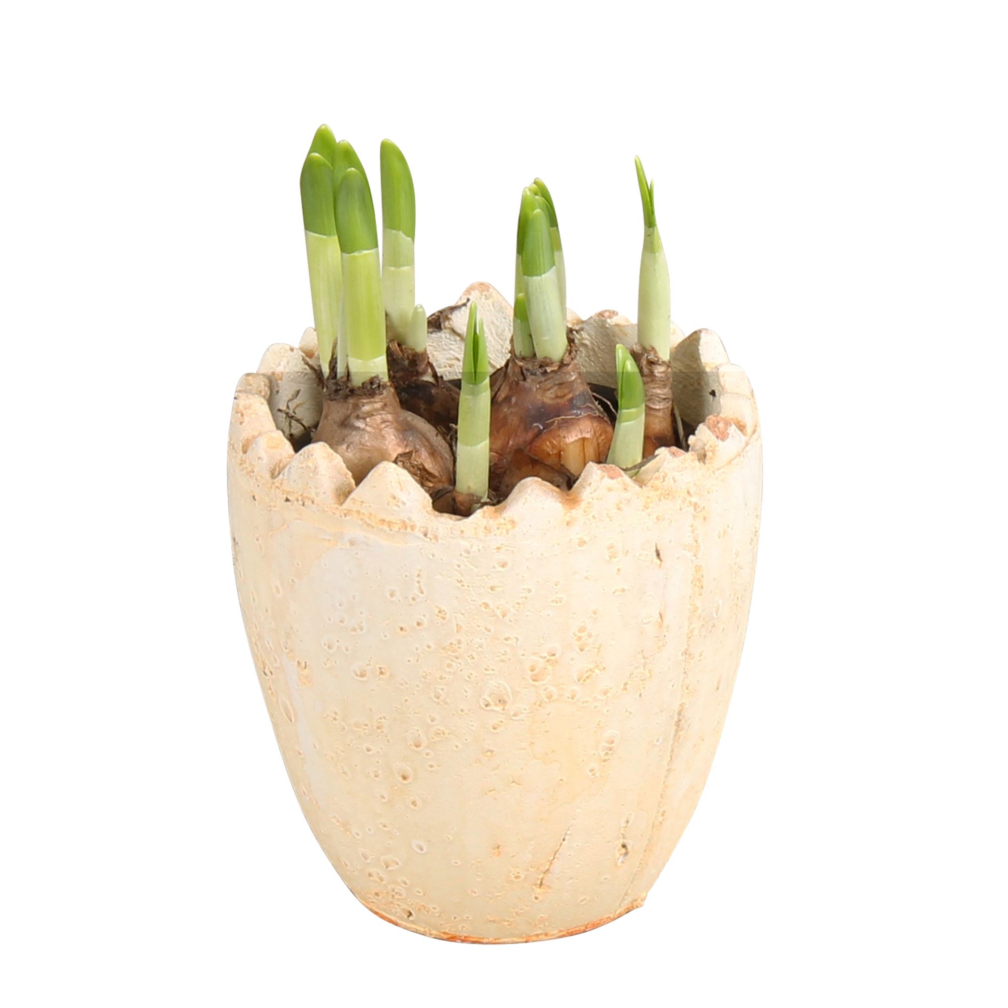 Easter Arr. Indoor Ceramic Half Egg Ø11cm 1PP, D 11