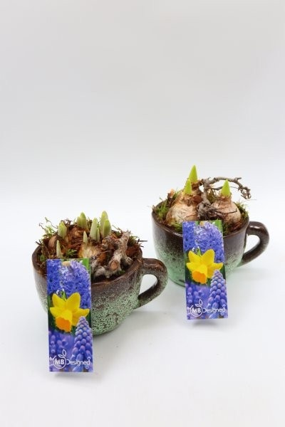 Bollen, luxe keramiek kop S; mix, D 13