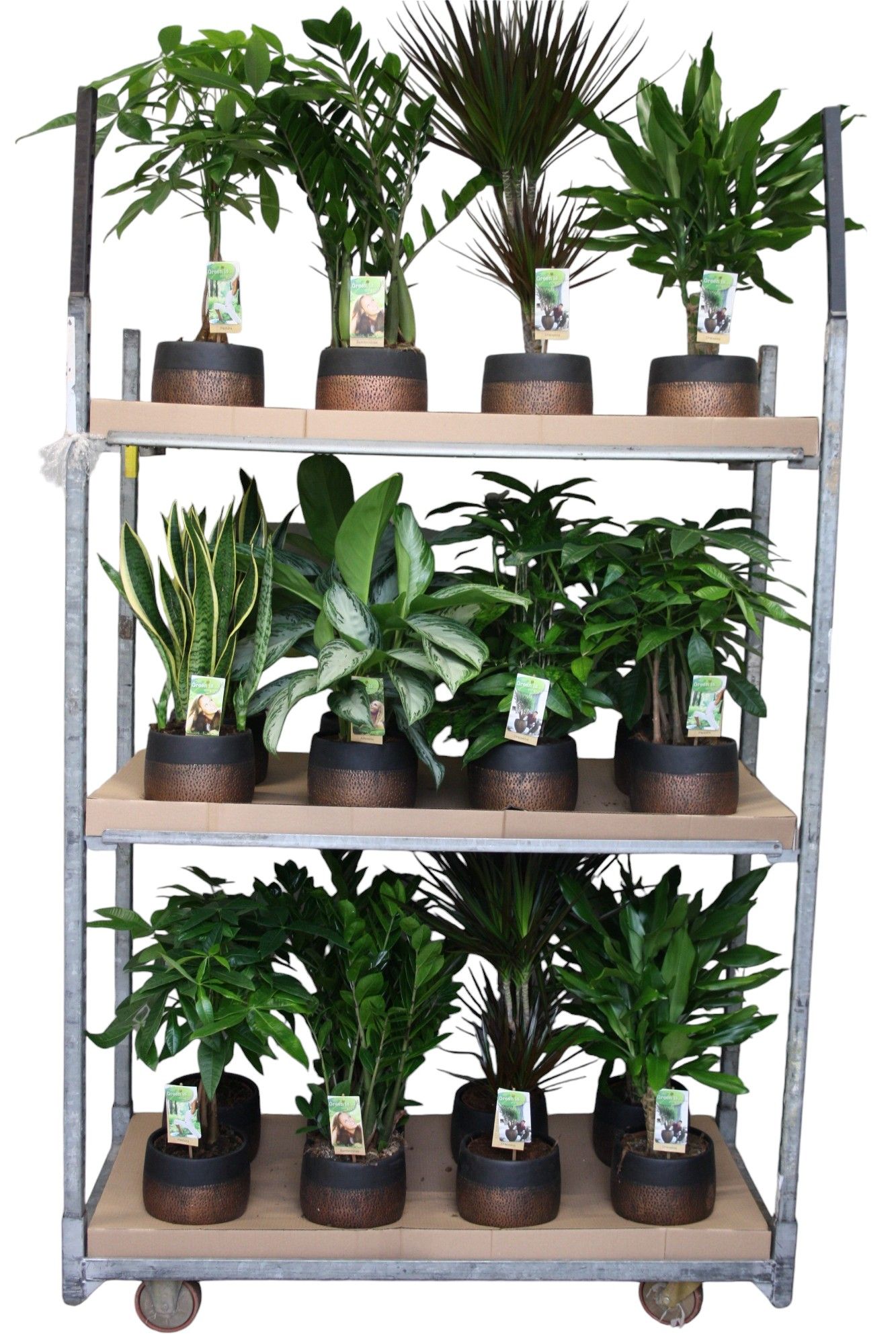 Green is...mixkar p17 betonpot mokka - foto is indicatief, D 17