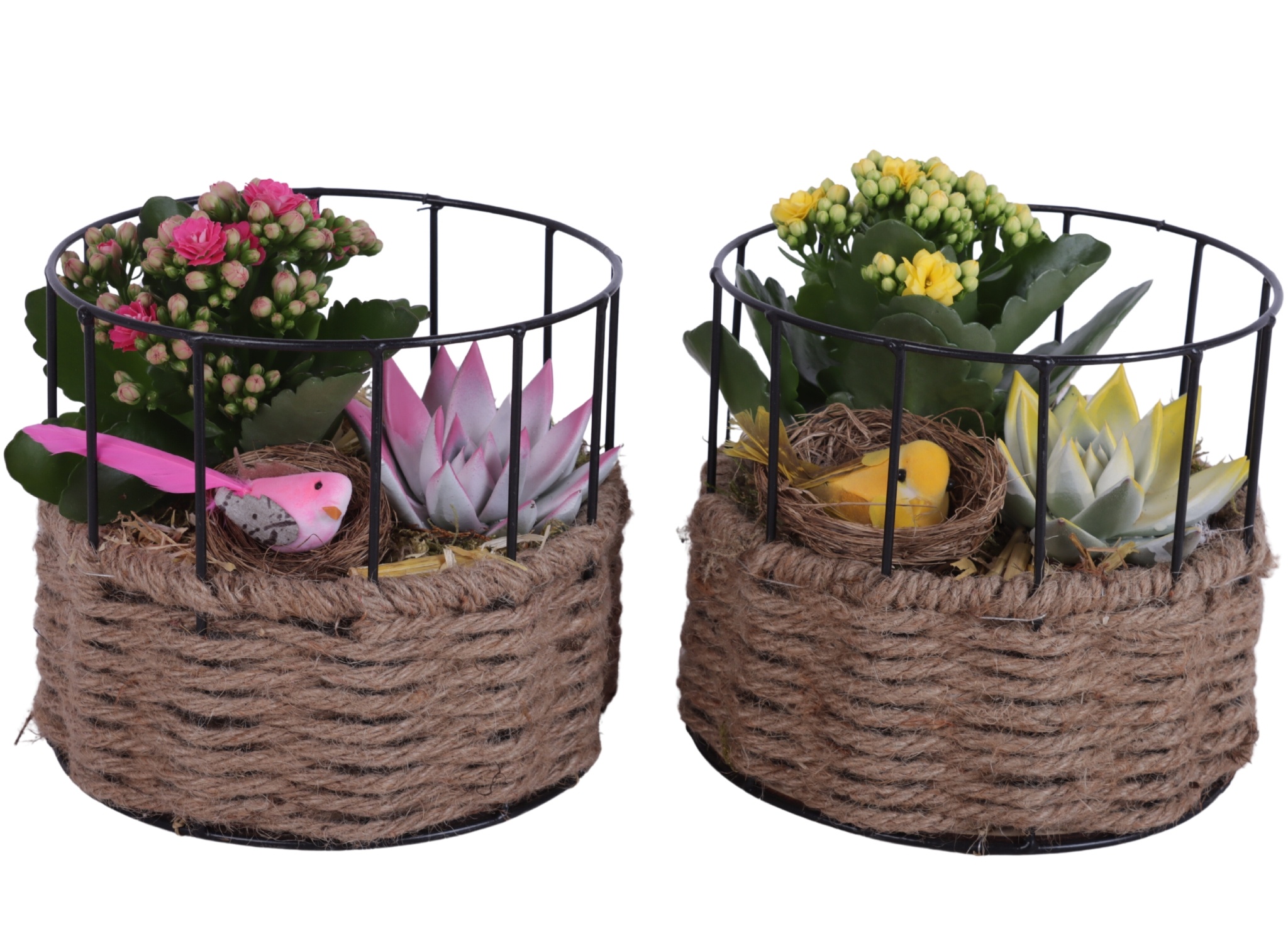 Easter Arr. Indoor Metal Frame Rope pot Round Ø17cm 2PP, D 17