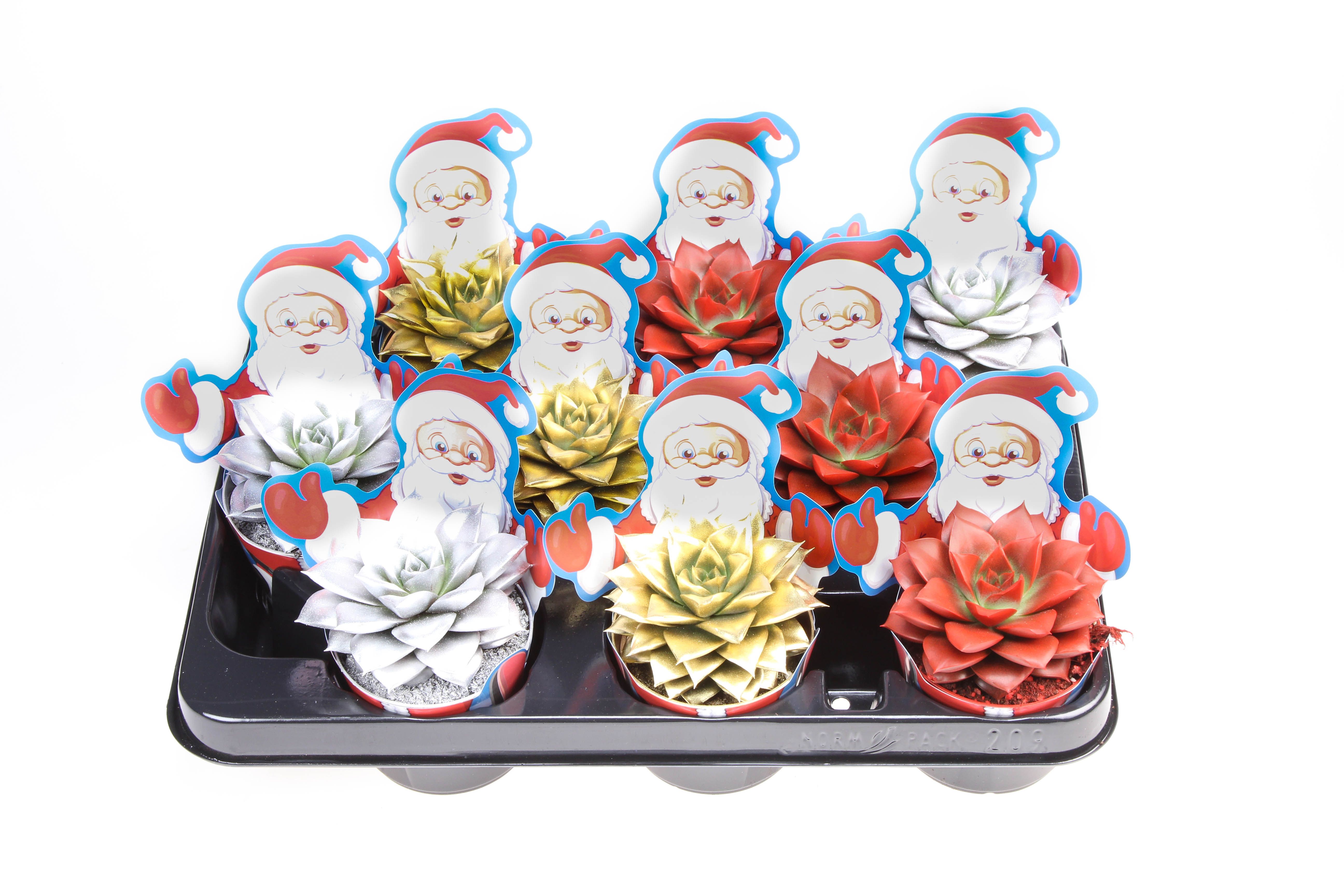 Potcover santaclaus purper rainbow, D 8,5