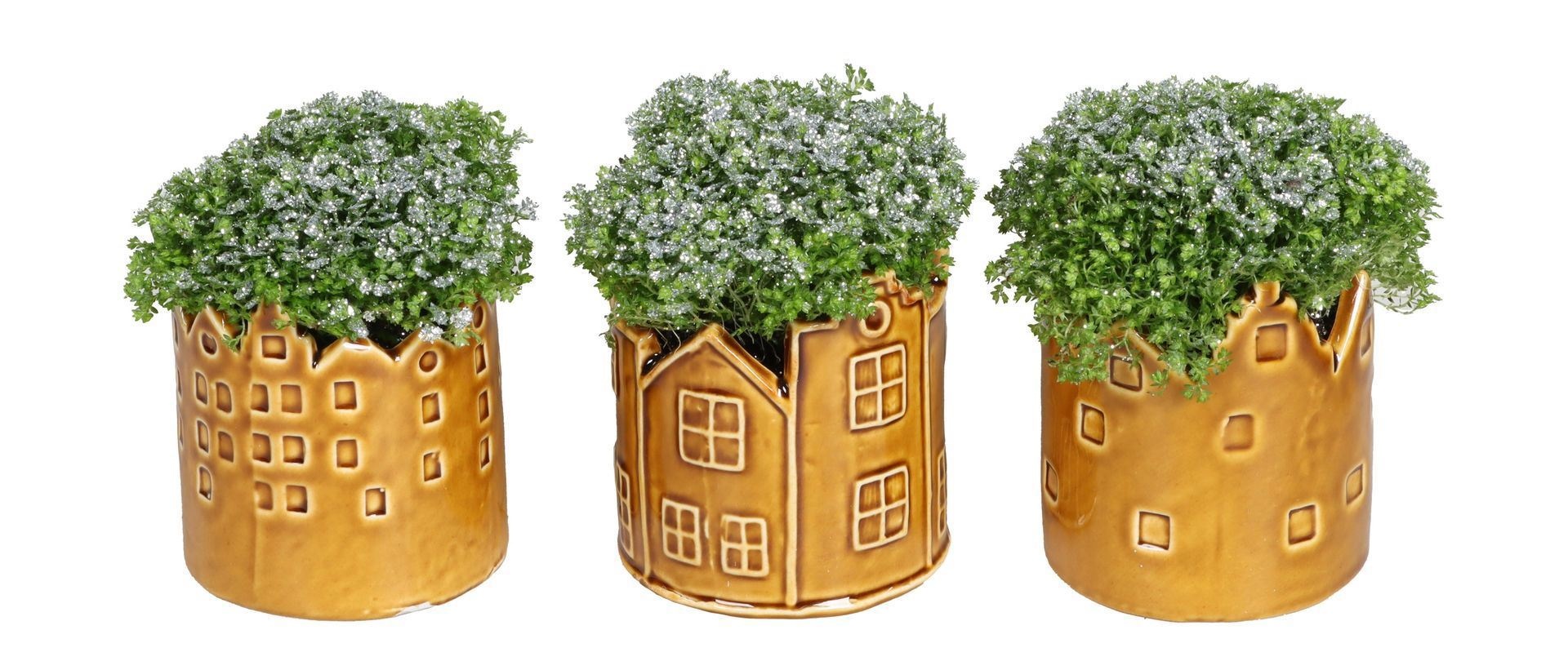 L 67449 With Selaginella Apoda Glitter 6 cm, D 6