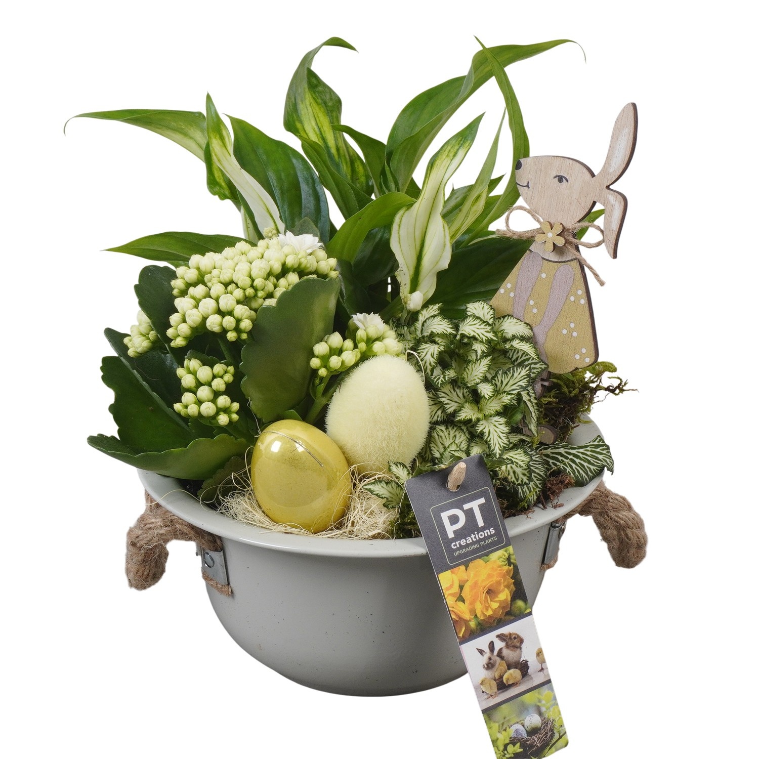 PTPB6408 Arrangement Easter in zink schaal, D 18