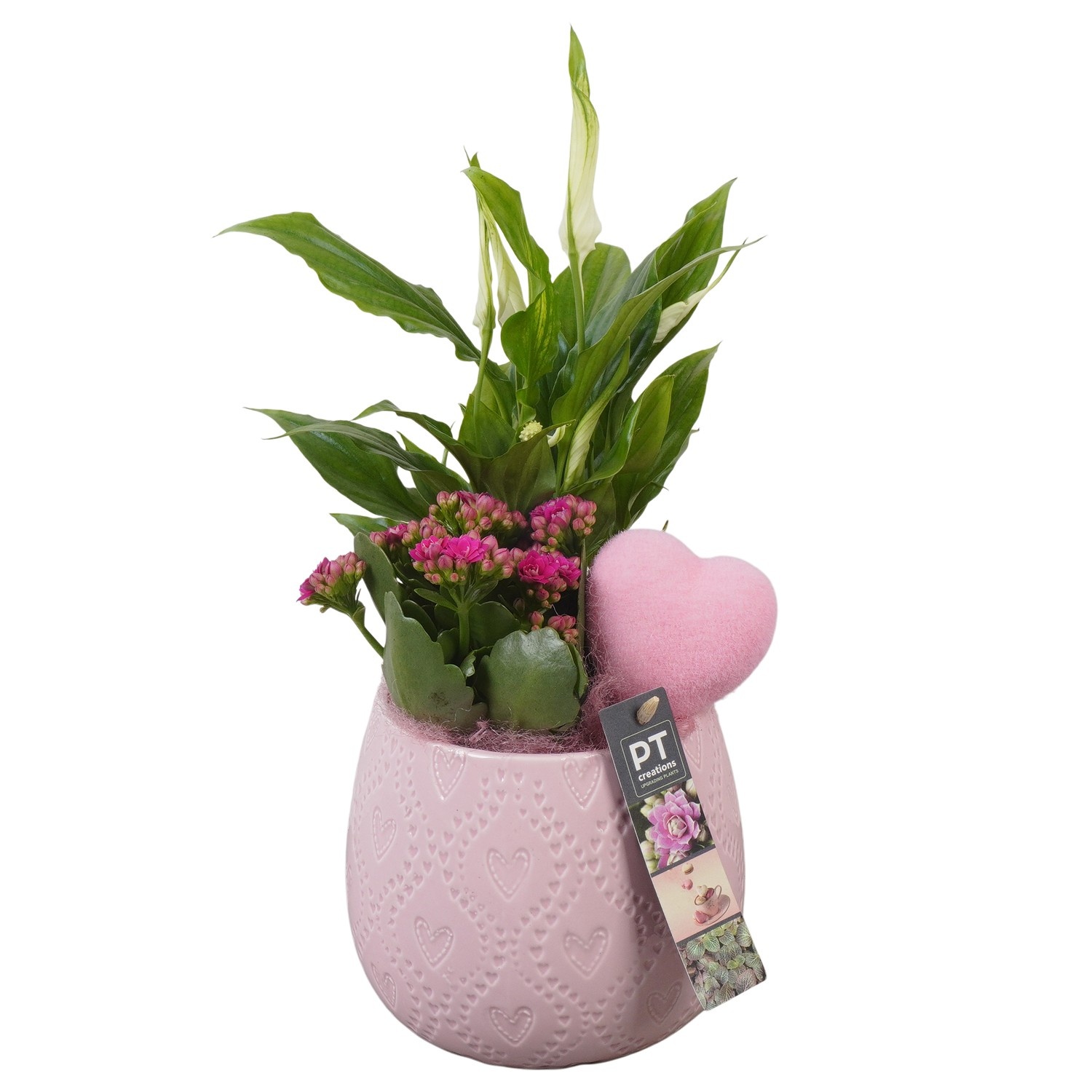 PTVMB2297 Arrangement Valentines-Mothersday in keramiek sierpot, D 14