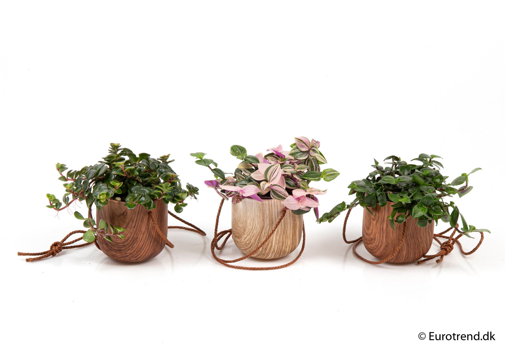 Green mix in hanging ceramic - New Look 2025, D 6