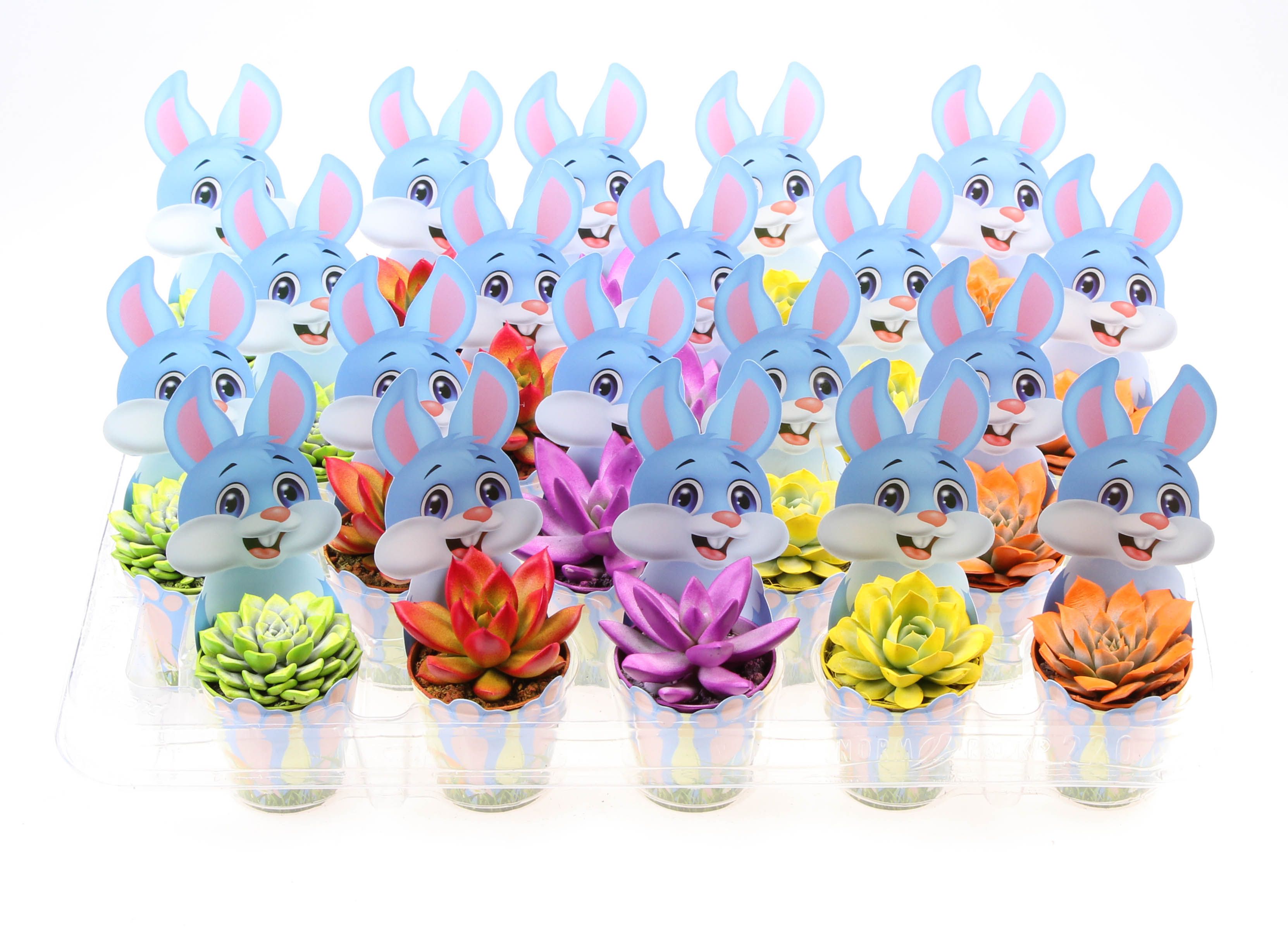 Potcover paashaas rainbow mix, D 5,5