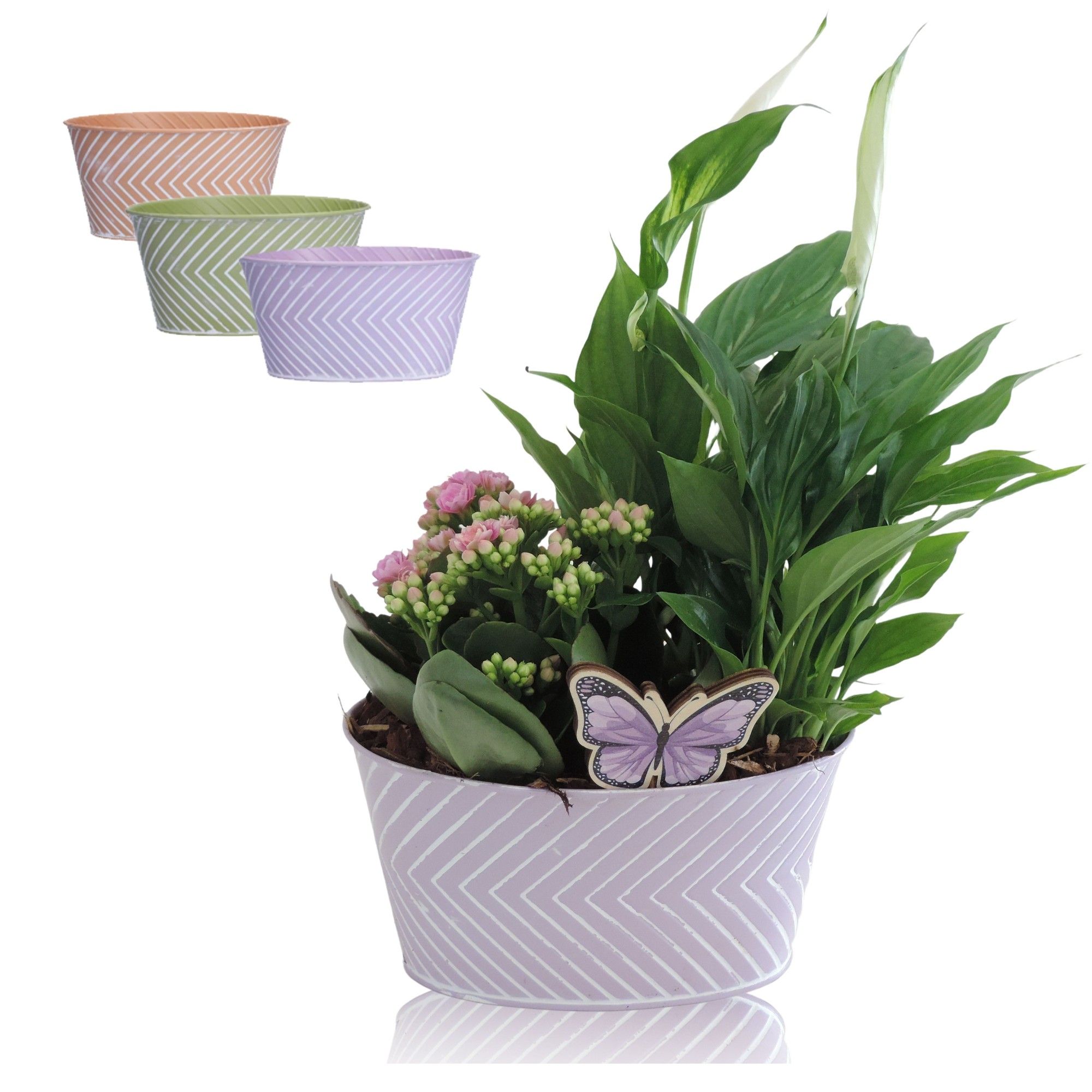 Collectie Wave arrangement in zinken pot ovaal 19 cm, D 19