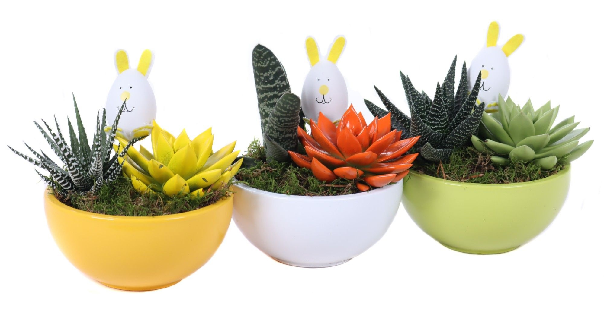 Opgemaakte paasschalen met echeveria, succulenten en bijsteker, D 15