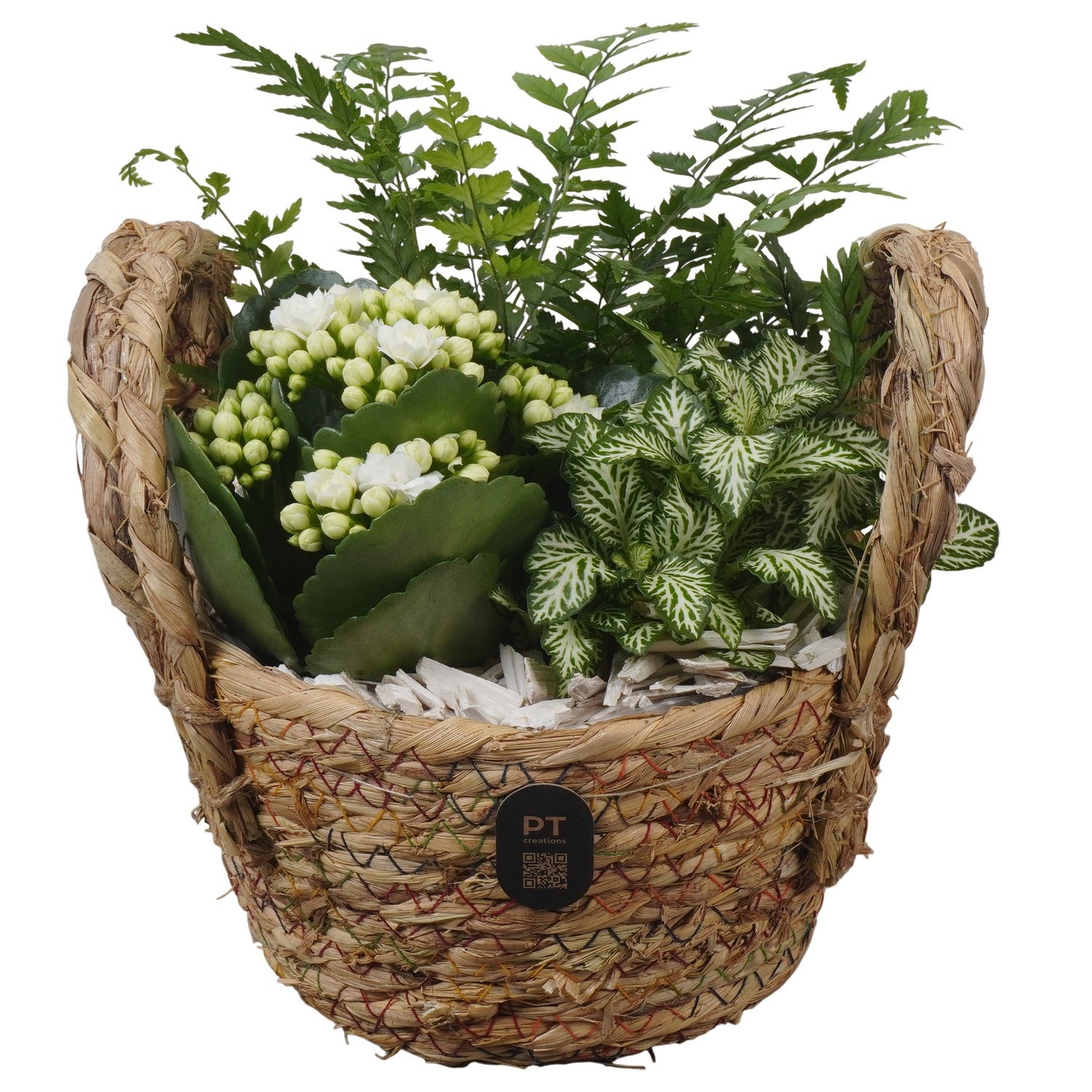 PTIB5216 Arrangement Indoor in rieten mand, D 15