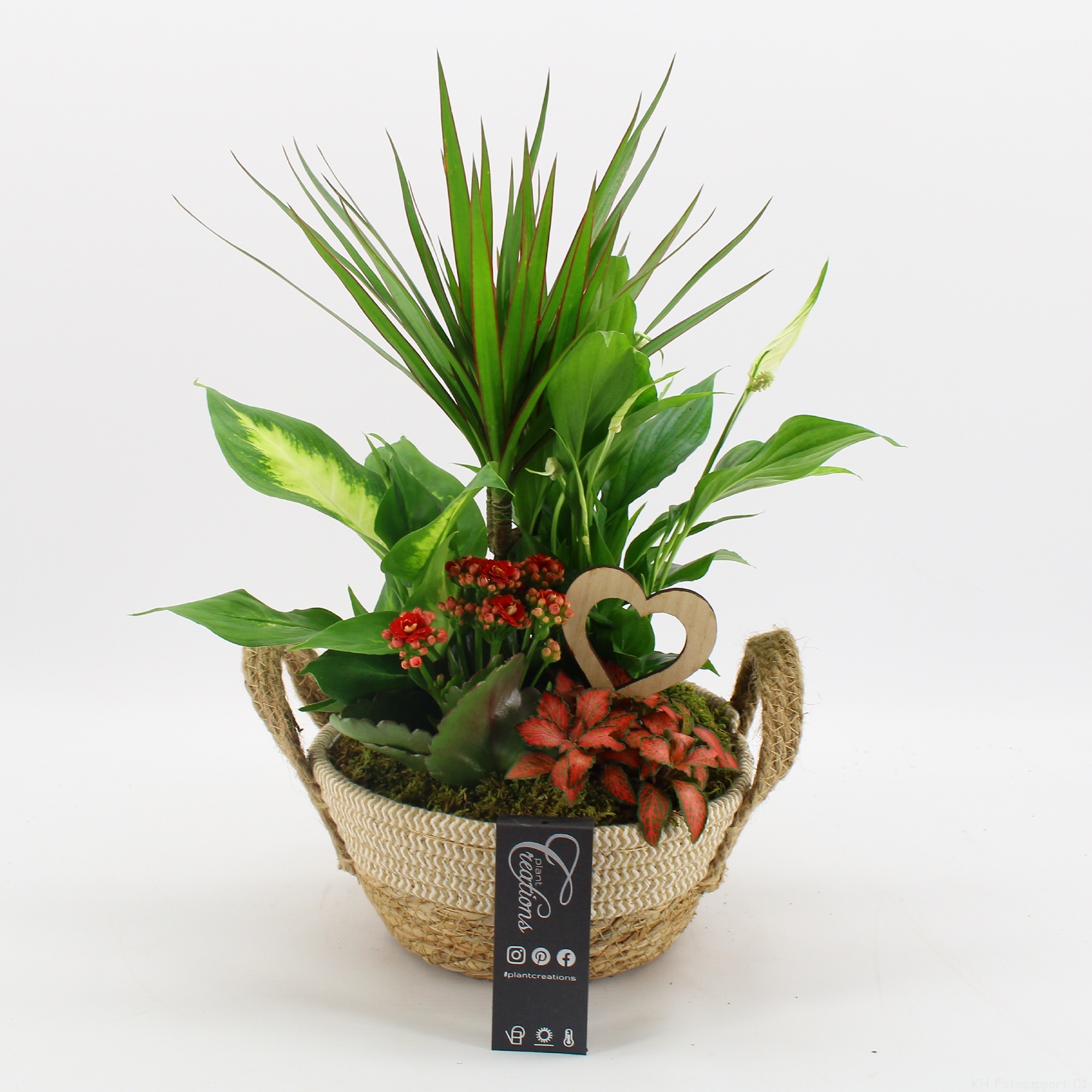 FDRM-2619R Romantic Fundamentals, D 21