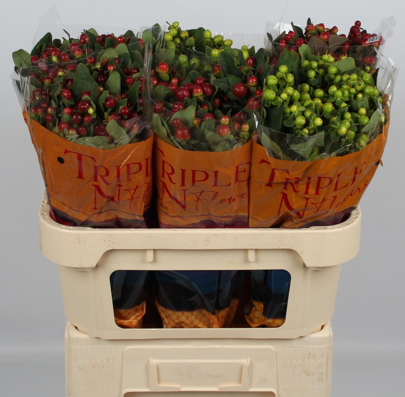 Гипперикум Мэджикал Микс 70, шт.