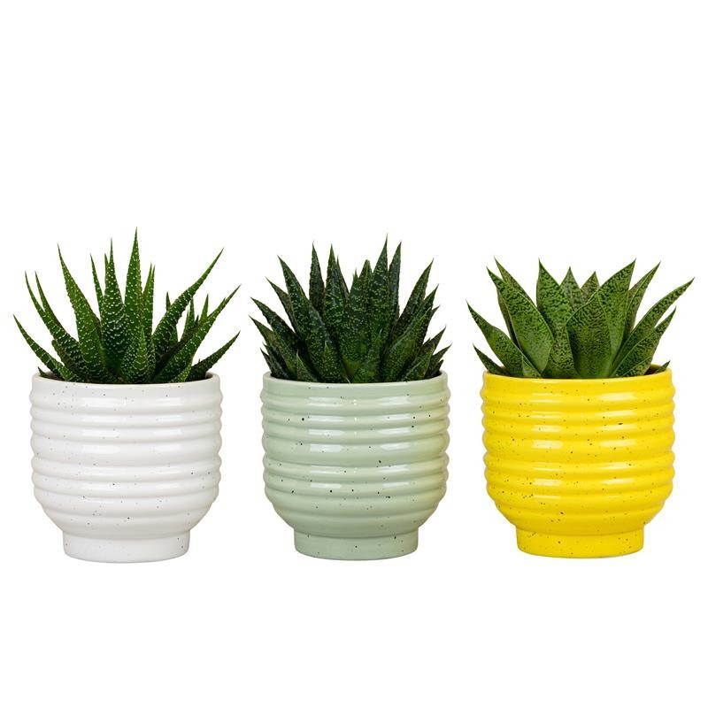 529646 Spritz EASTER CERAMIC, D 9