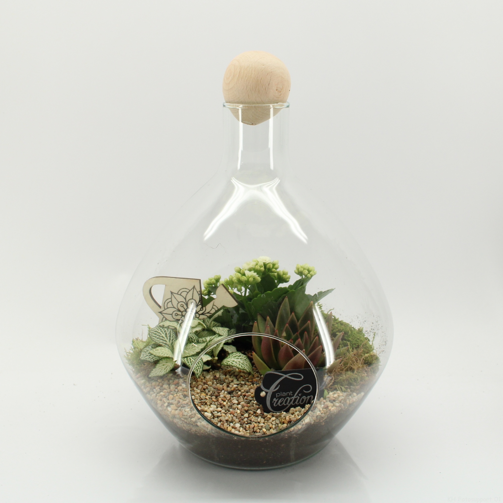 ESCR-2635W Essentials terrarium, D 26