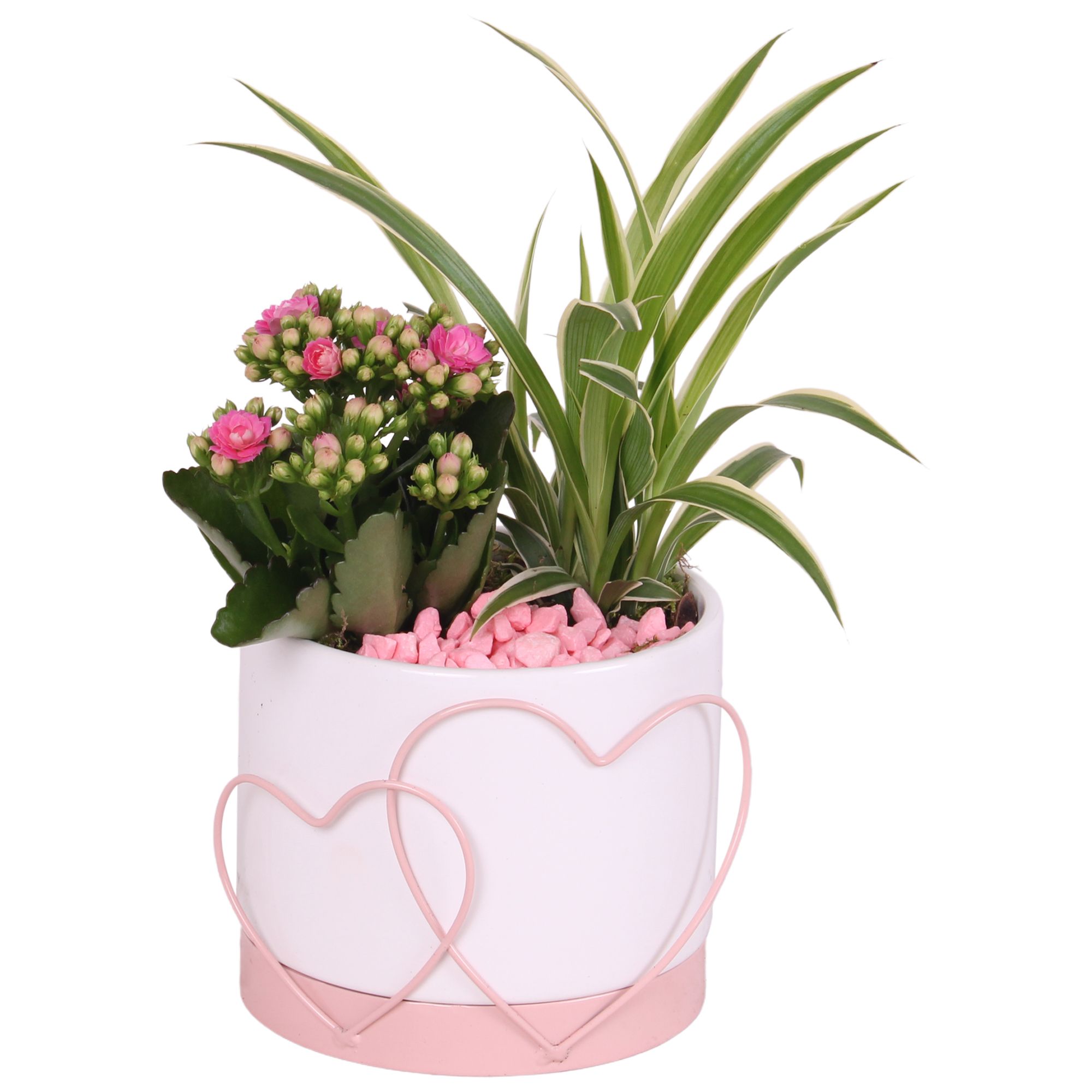 Mothersday Arr. Indoor Ceramic Heart Frame Pot Pink Ø13cm 2PP, D 13