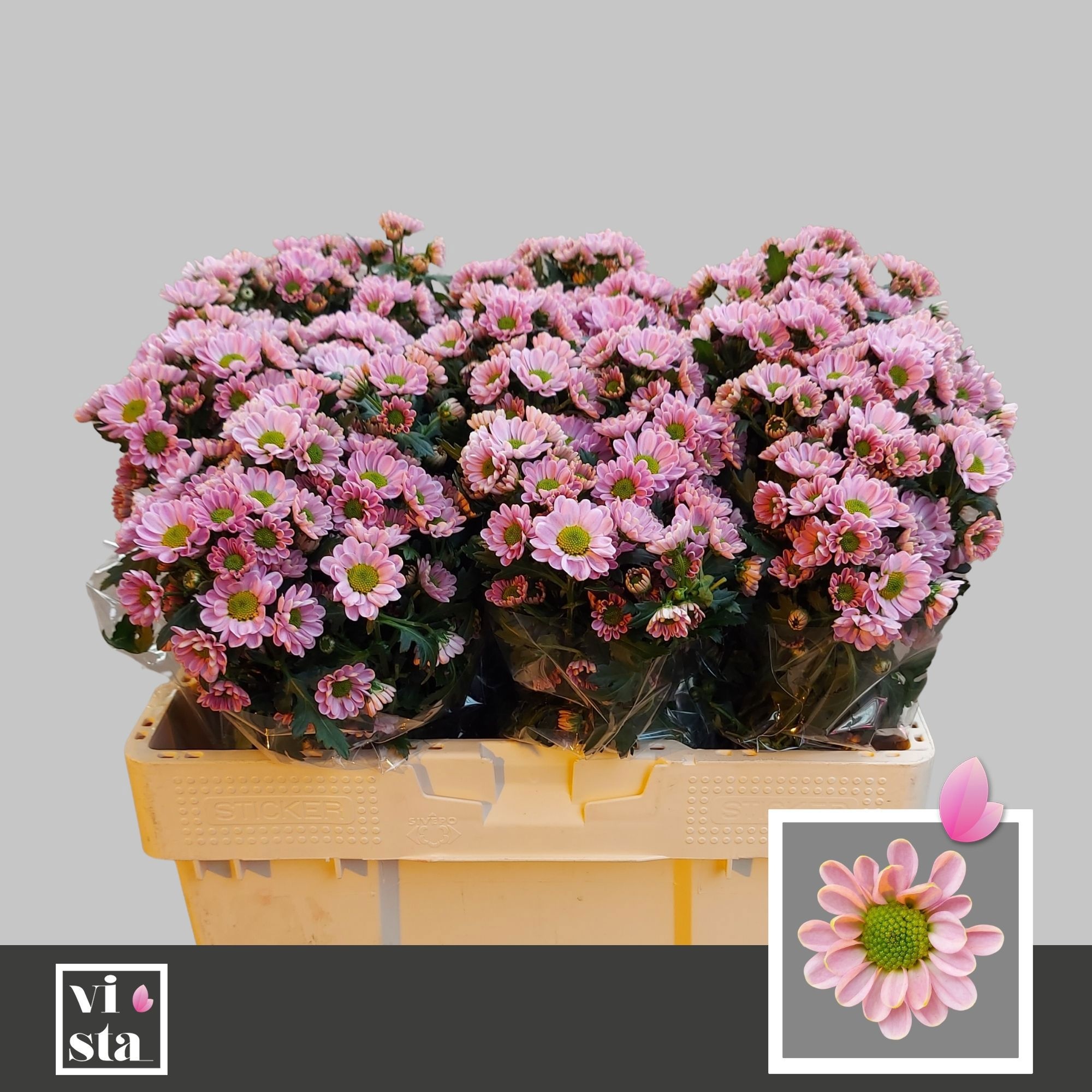 Сантини Росси Пинк (светло-роз.), шт.