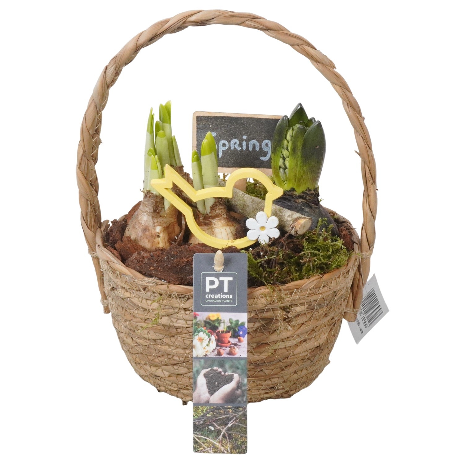 PTBM3804 Arrangement Flower Bulbs Mix in rieten mand, D 15