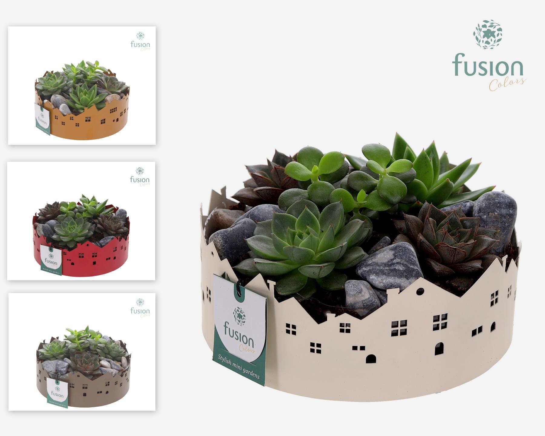 Zinken schaal Huisjes Medium met Succulenten, D 19