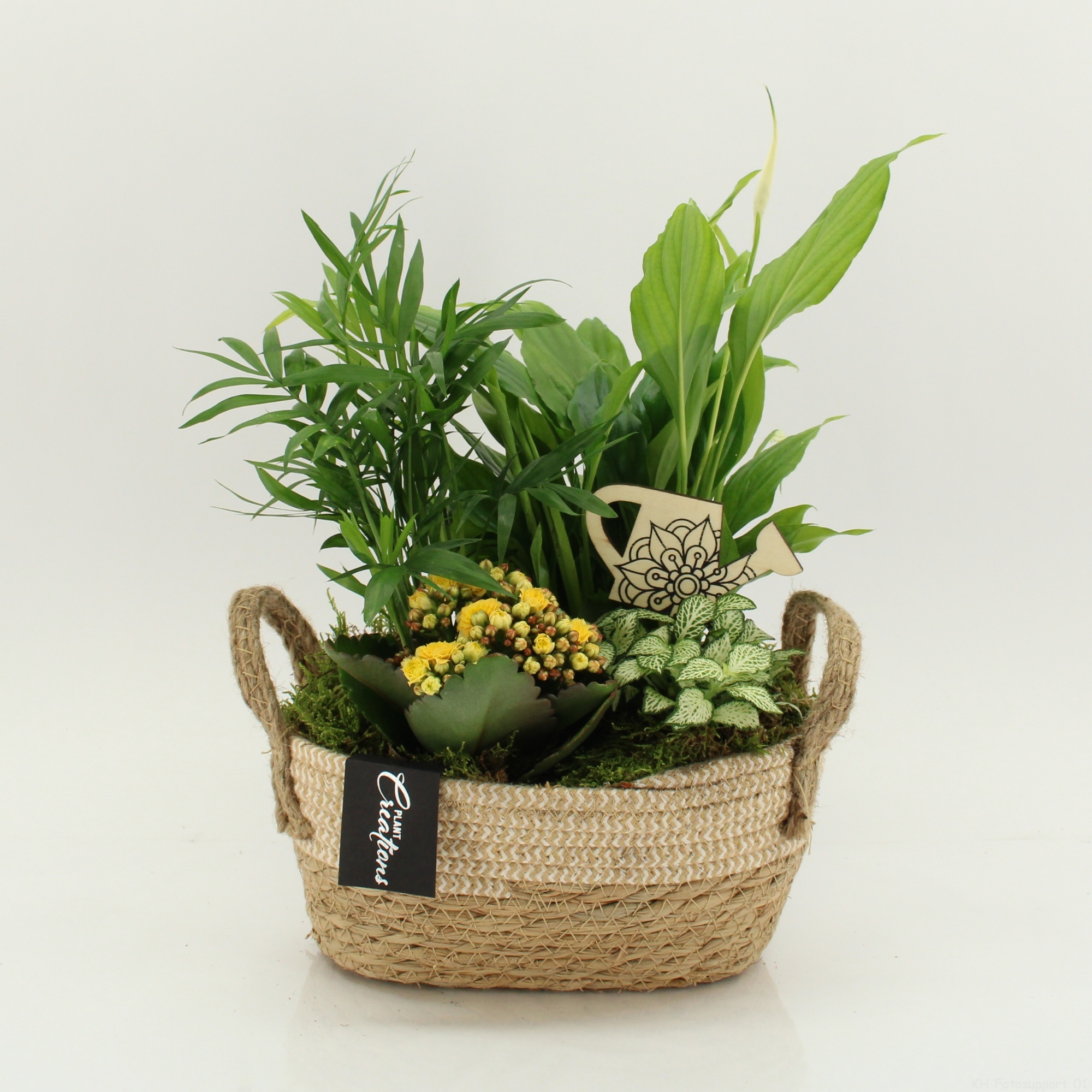 FDCR-2618G Basic Fundamentals, D 24