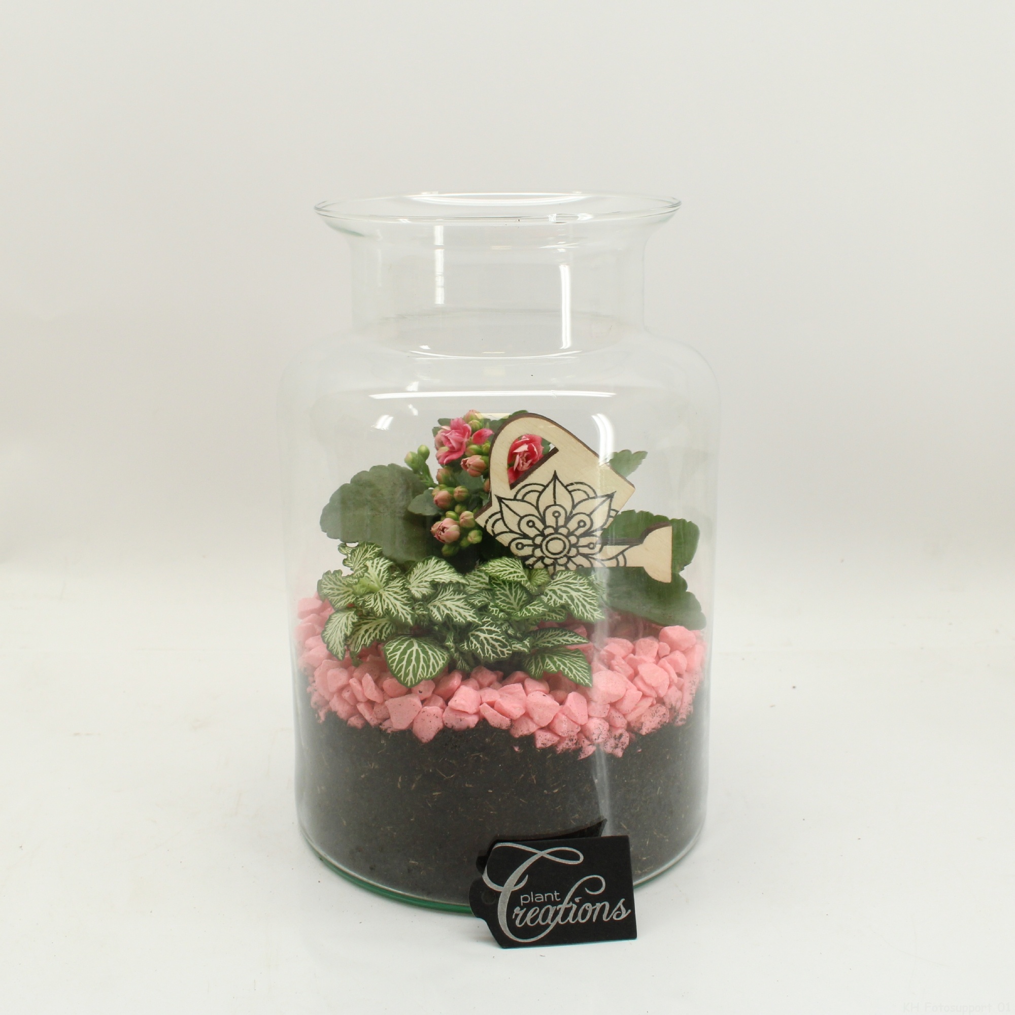 FDCR-2606RZ Basic Fundamentals terrarium, D 17